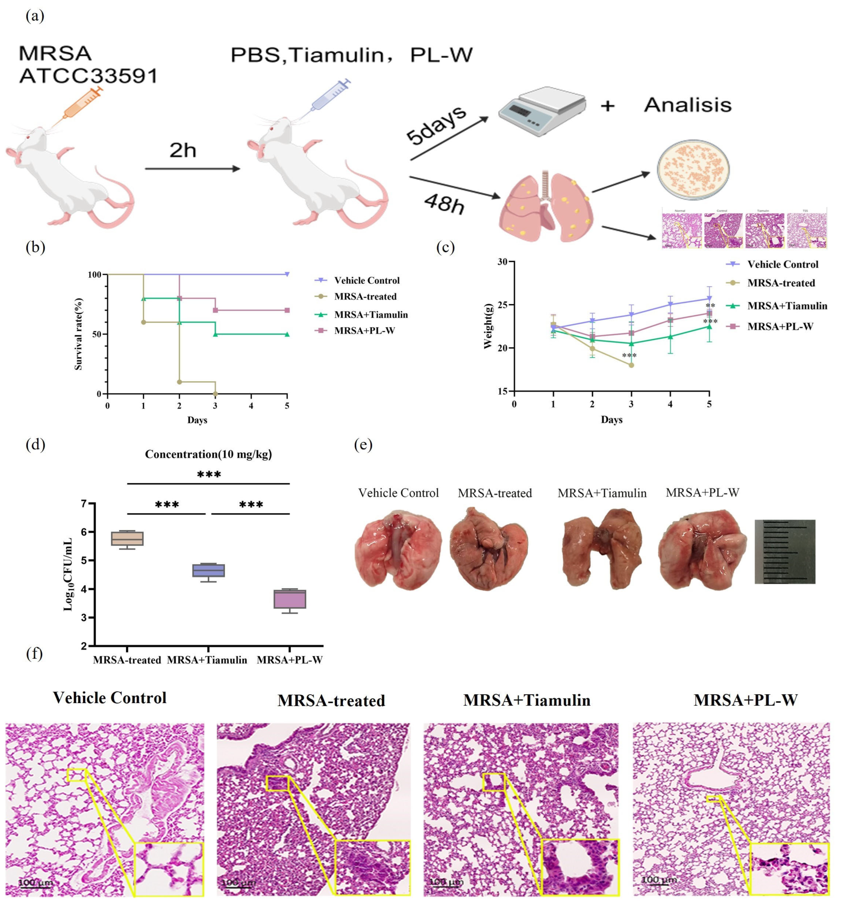 Molecules 30 02366 g006