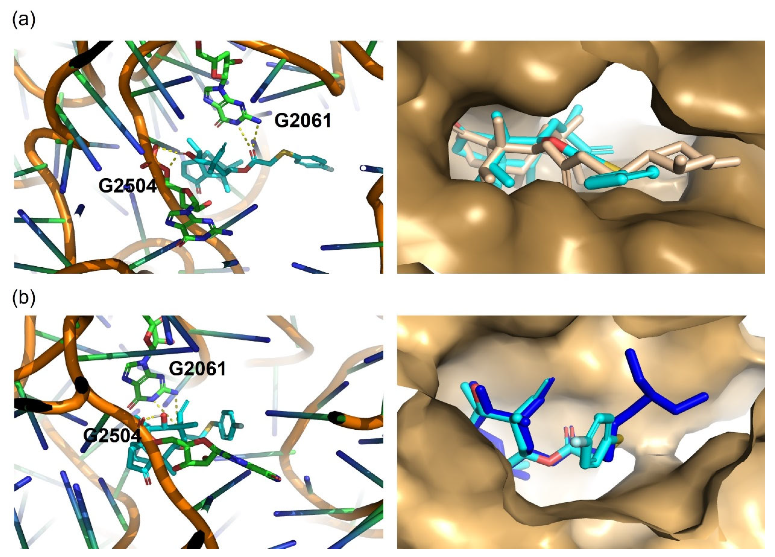 Molecules 30 02366 g007