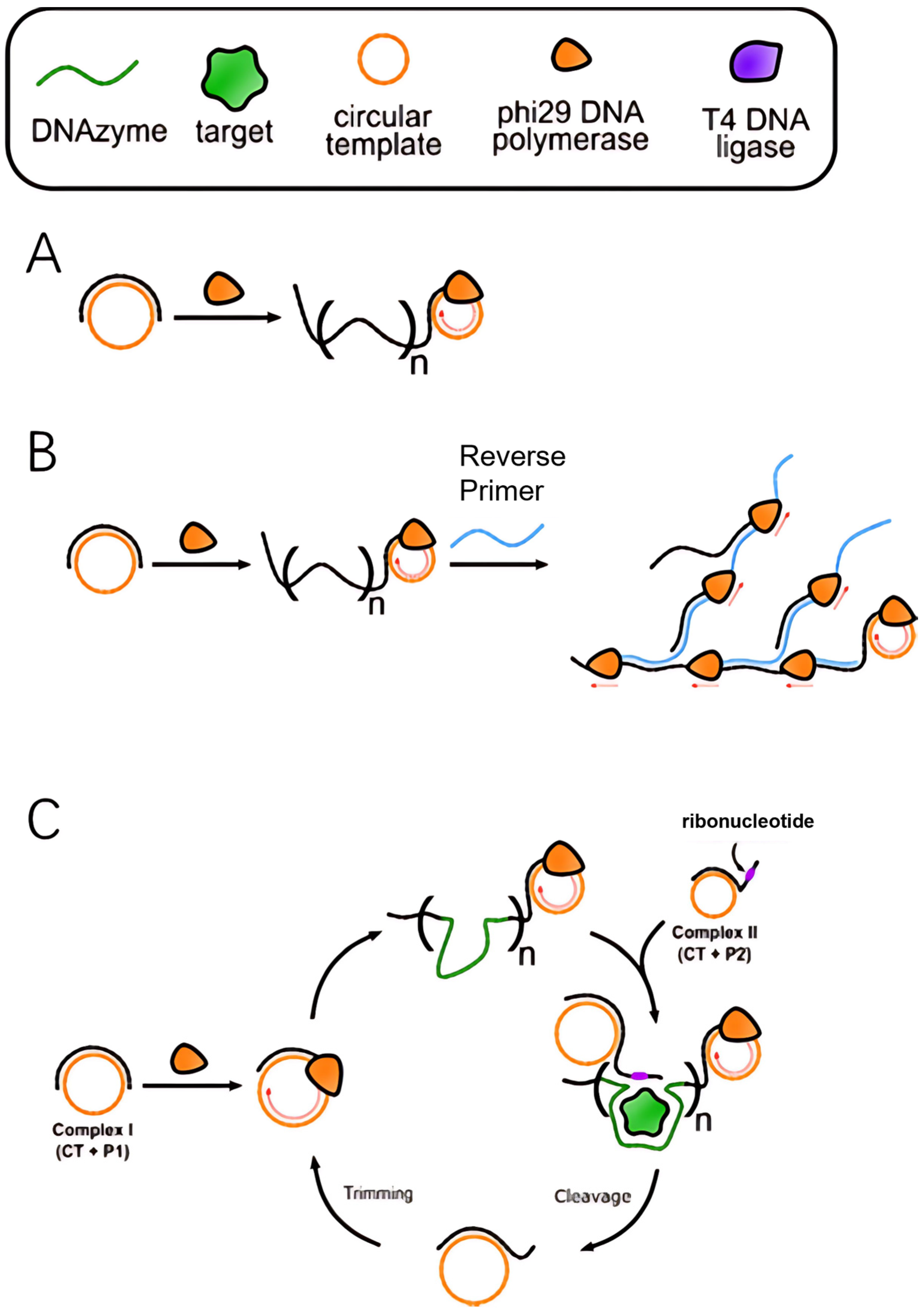 Molecules 30 02375 g002