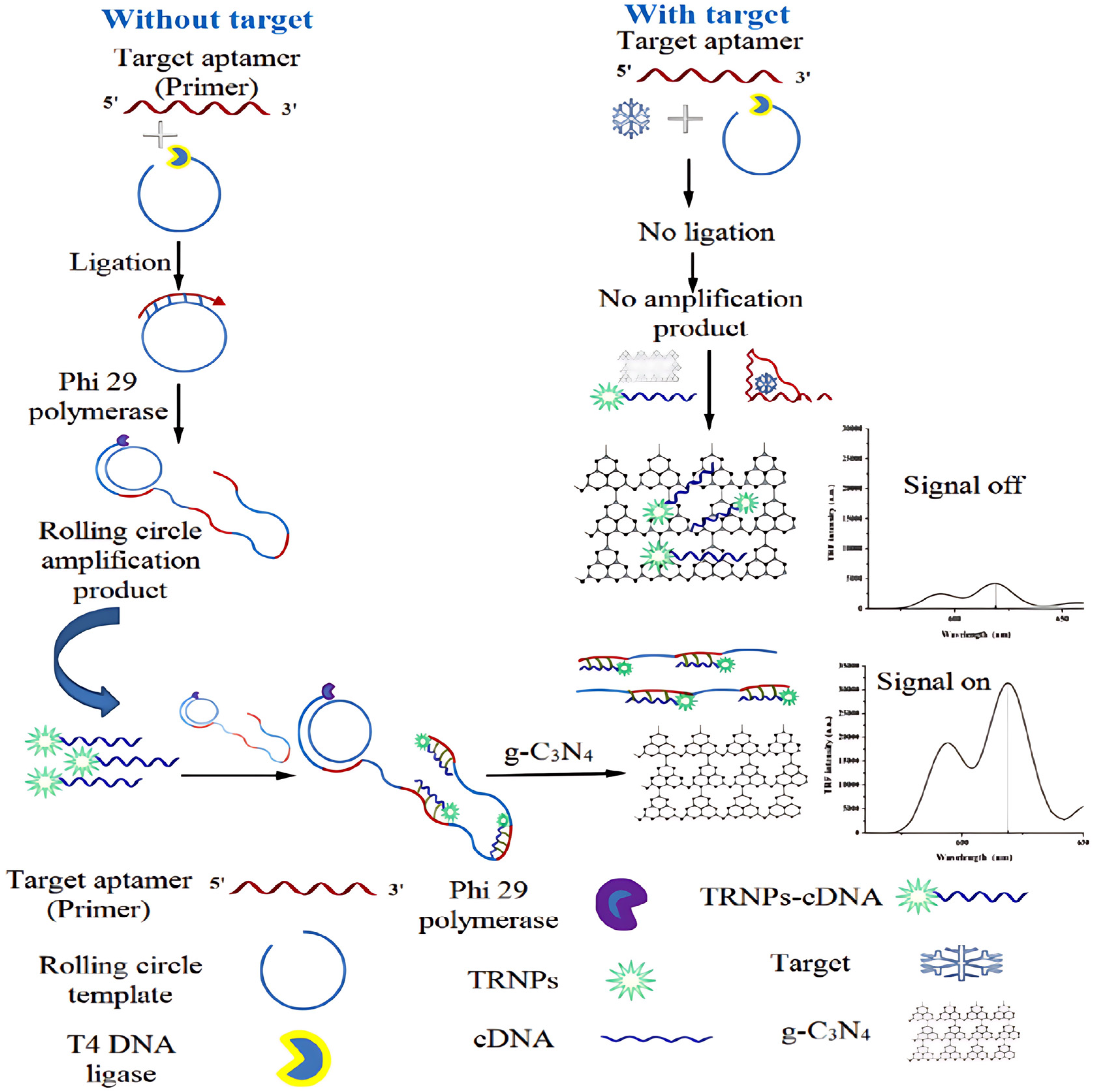 Molecules 30 02375 g004