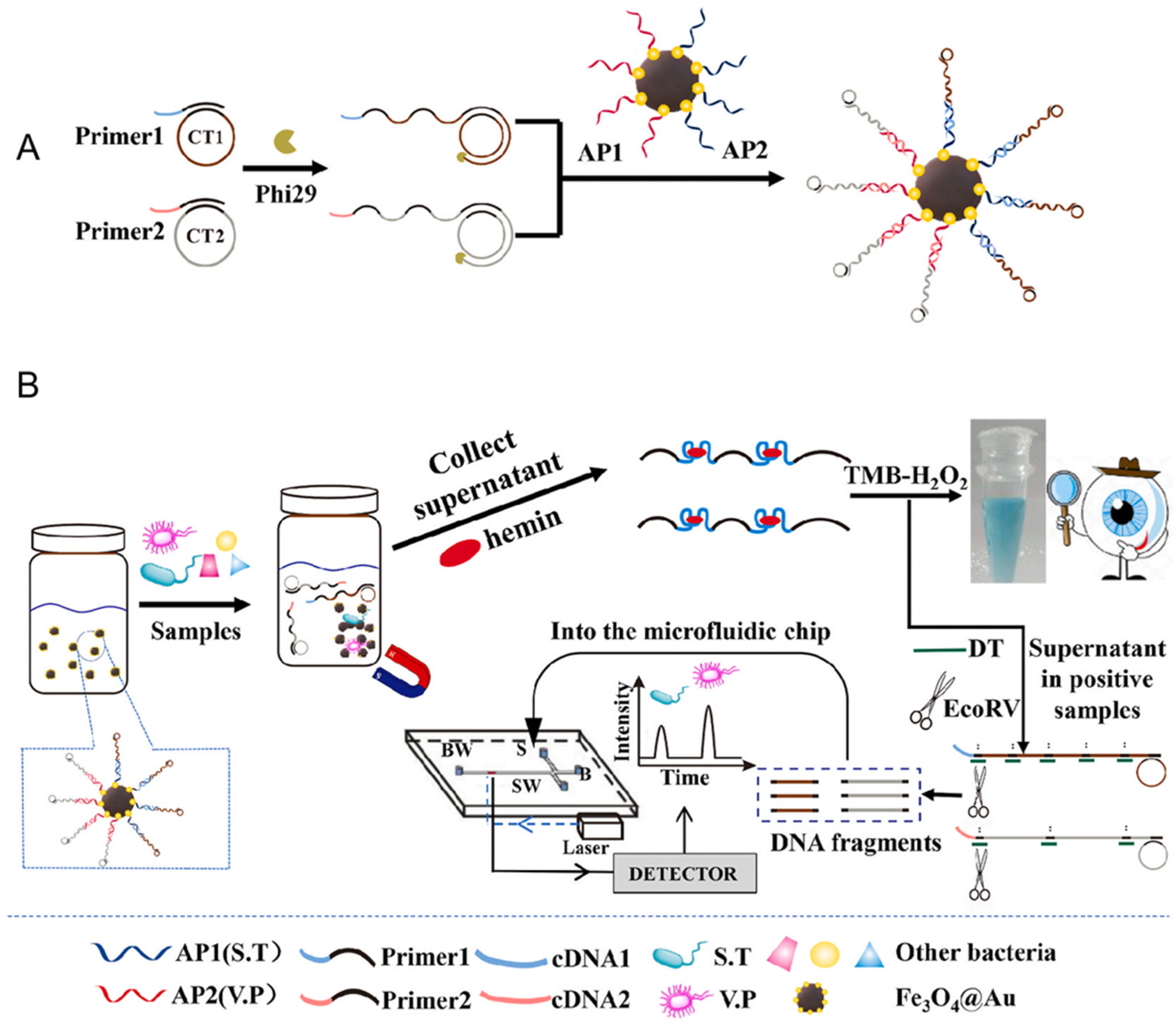 Molecules 30 02375 g006