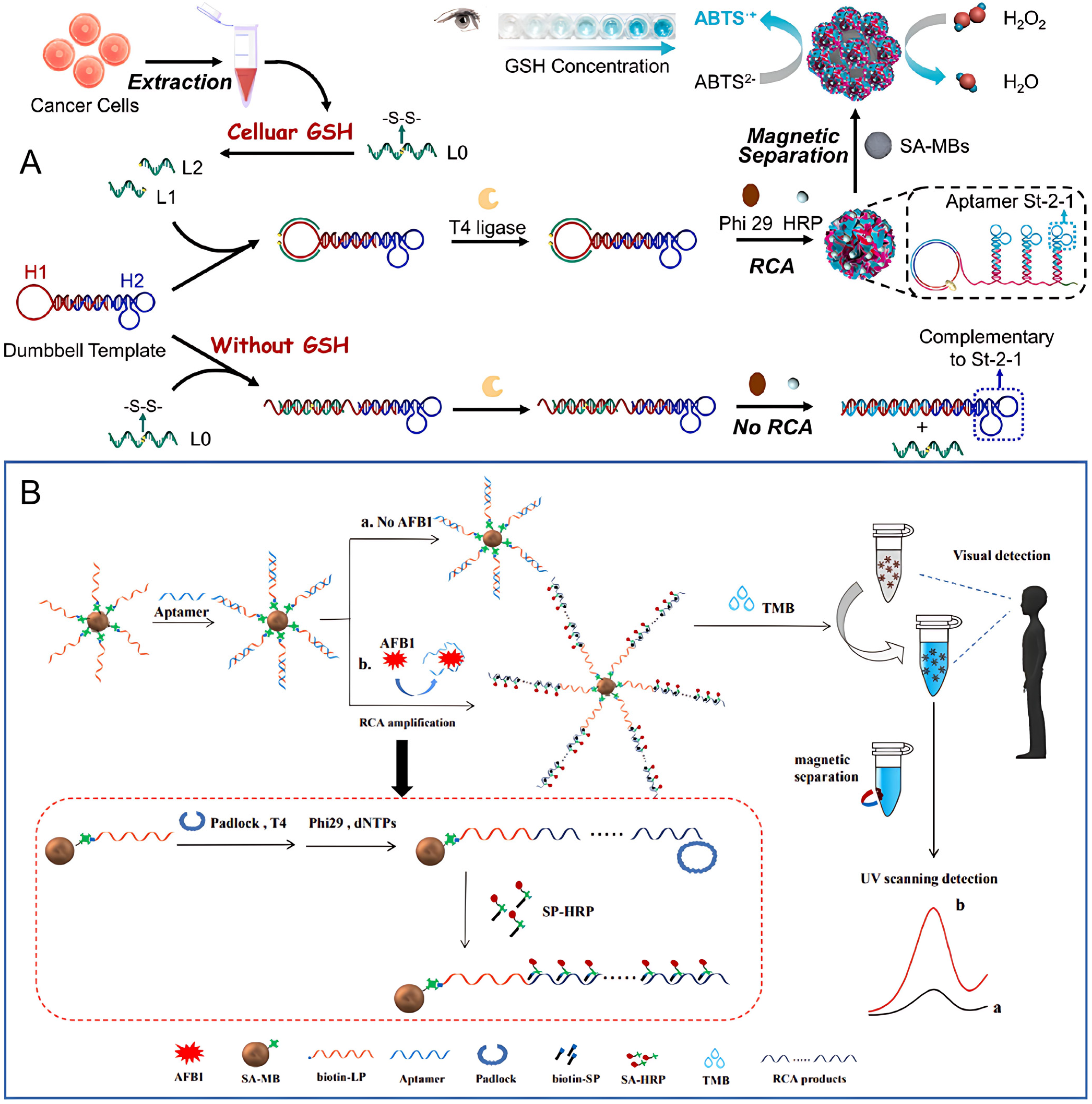 Molecules 30 02375 g007