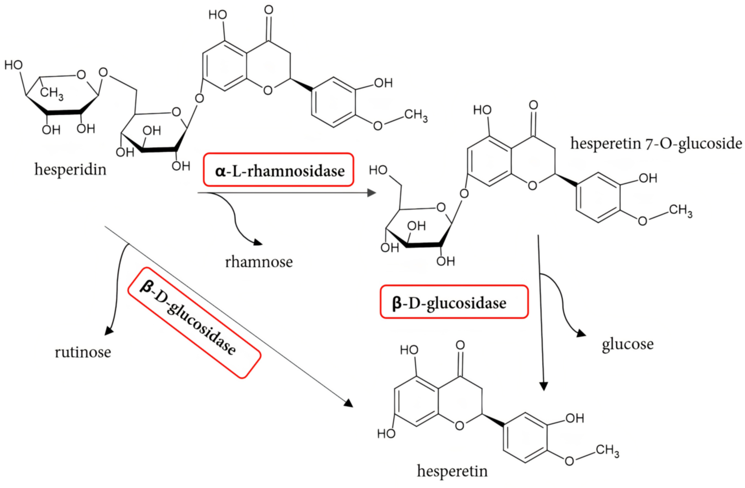 Molecules 30 02376 g003