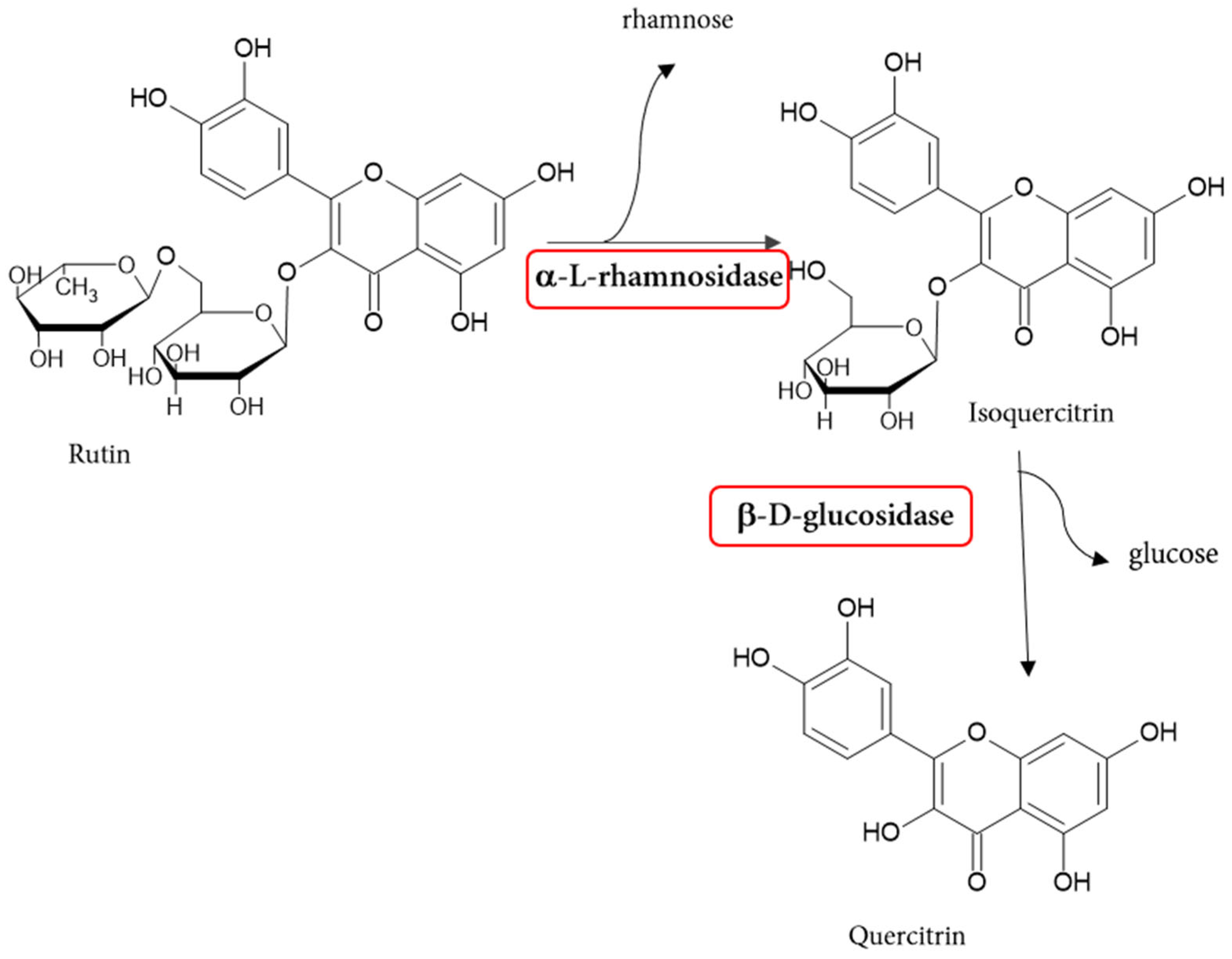 Molecules 30 02376 g004