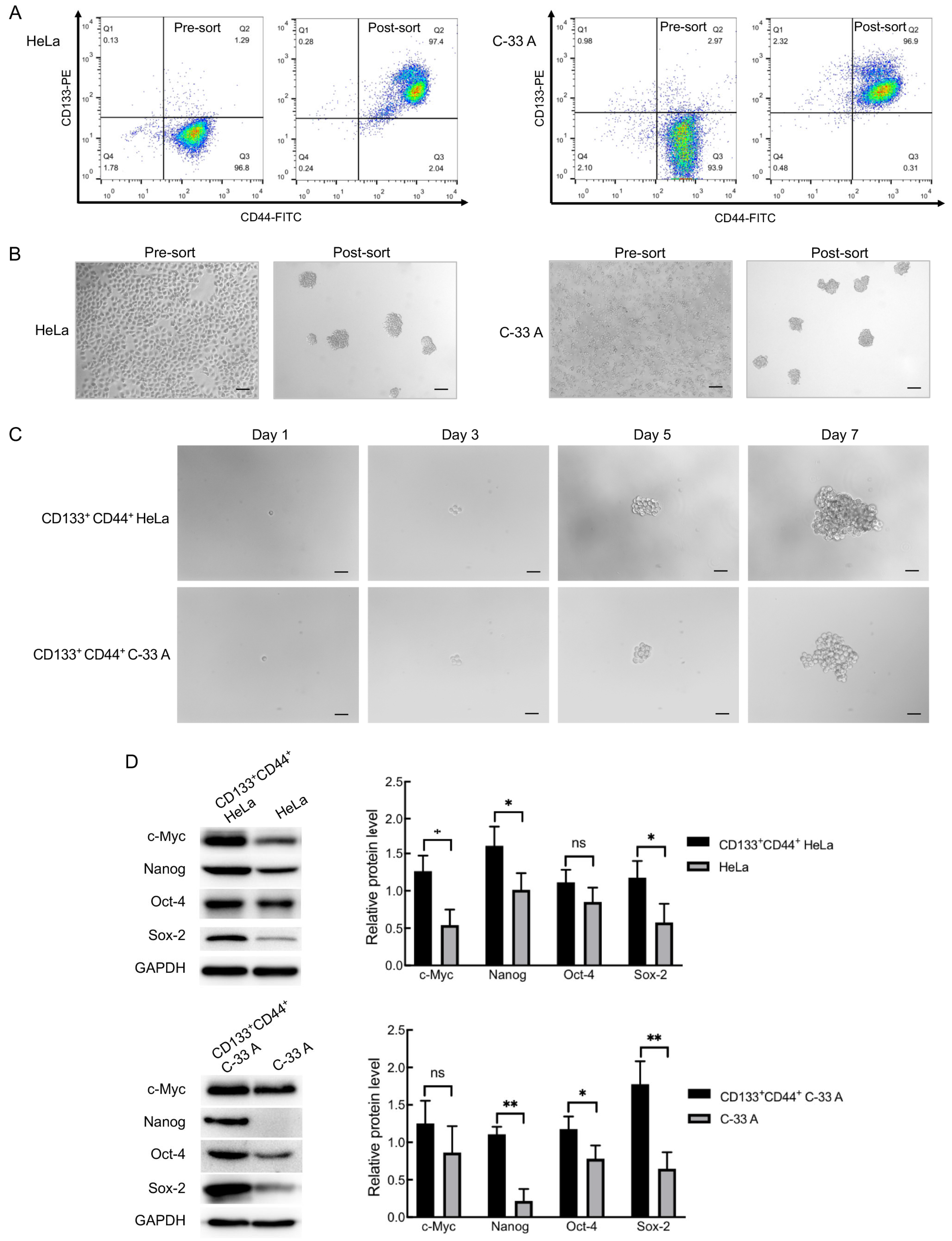 Molecules 30 02377 g001