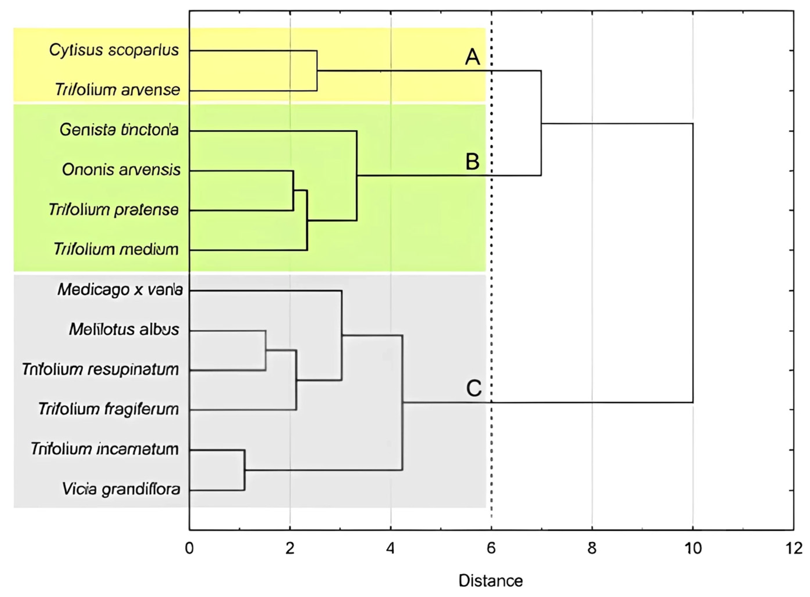Molecules 30 02379 g006
