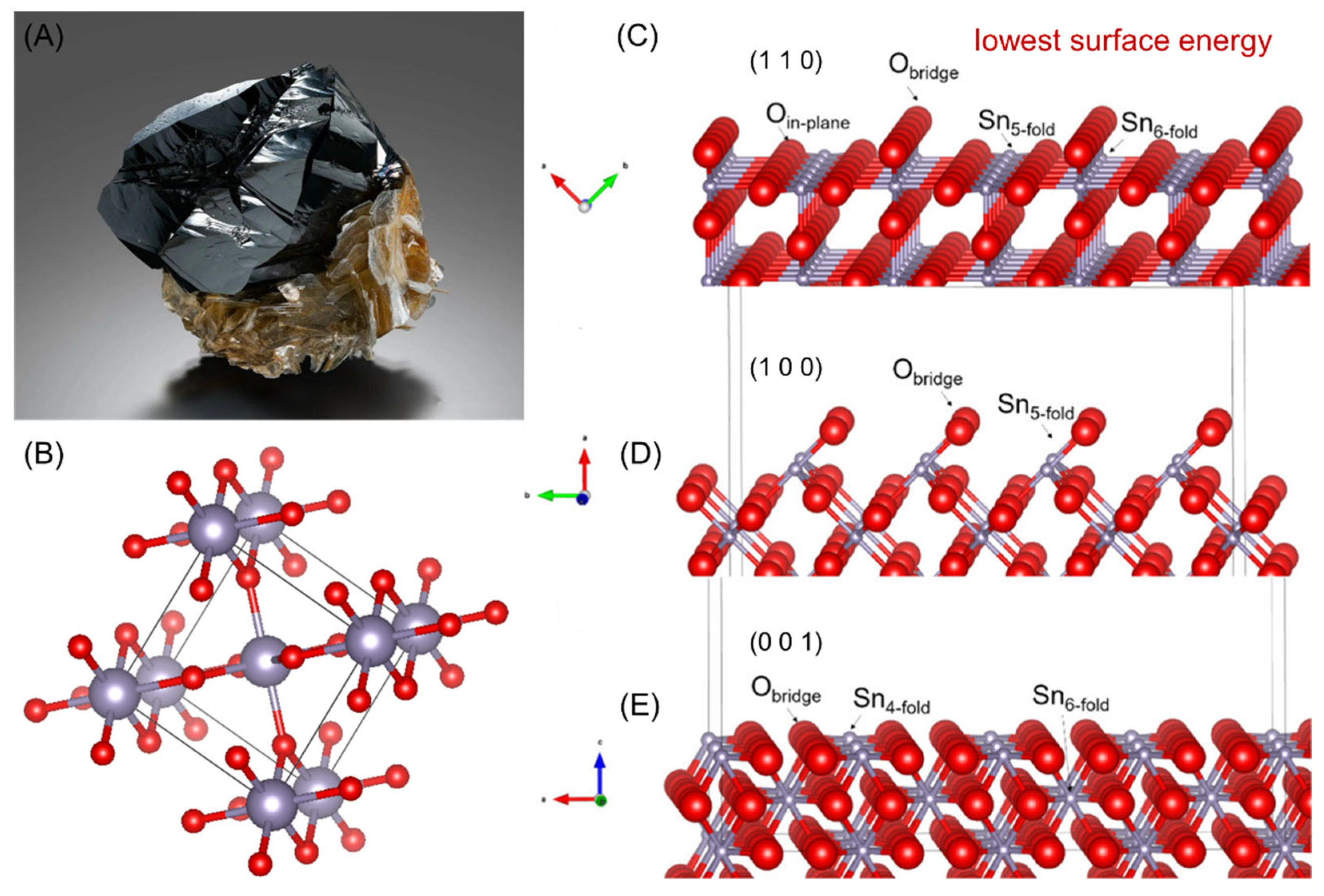 Molecules 30 02380 g003