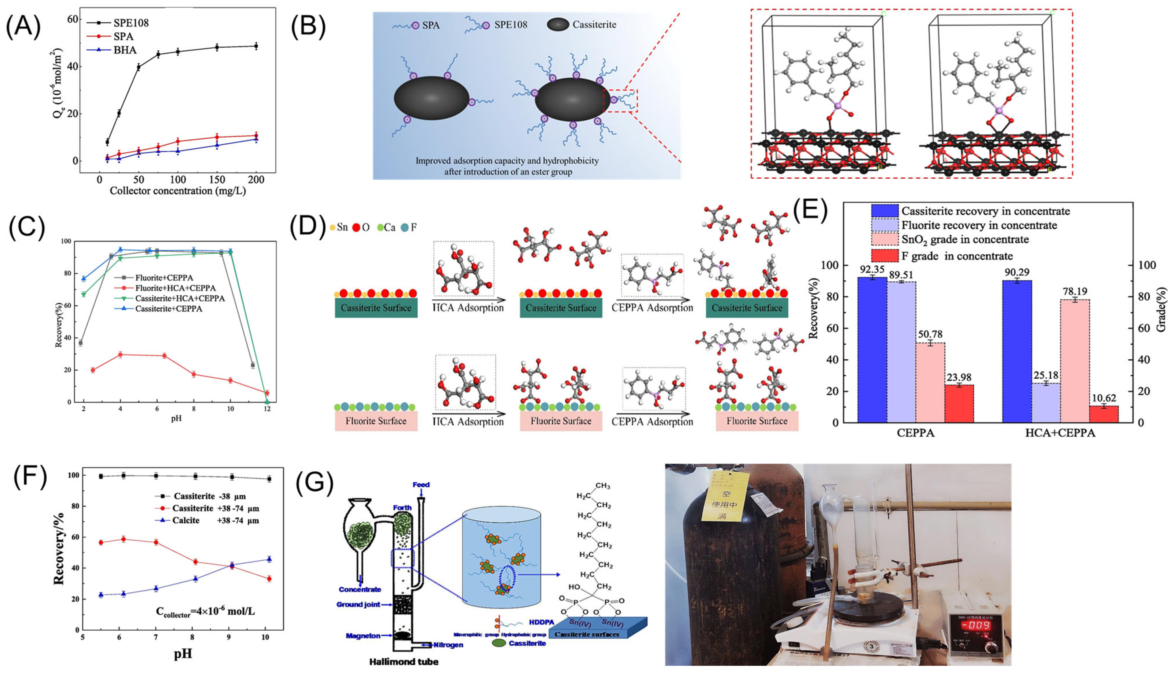 Molecules 30 02380 g006
