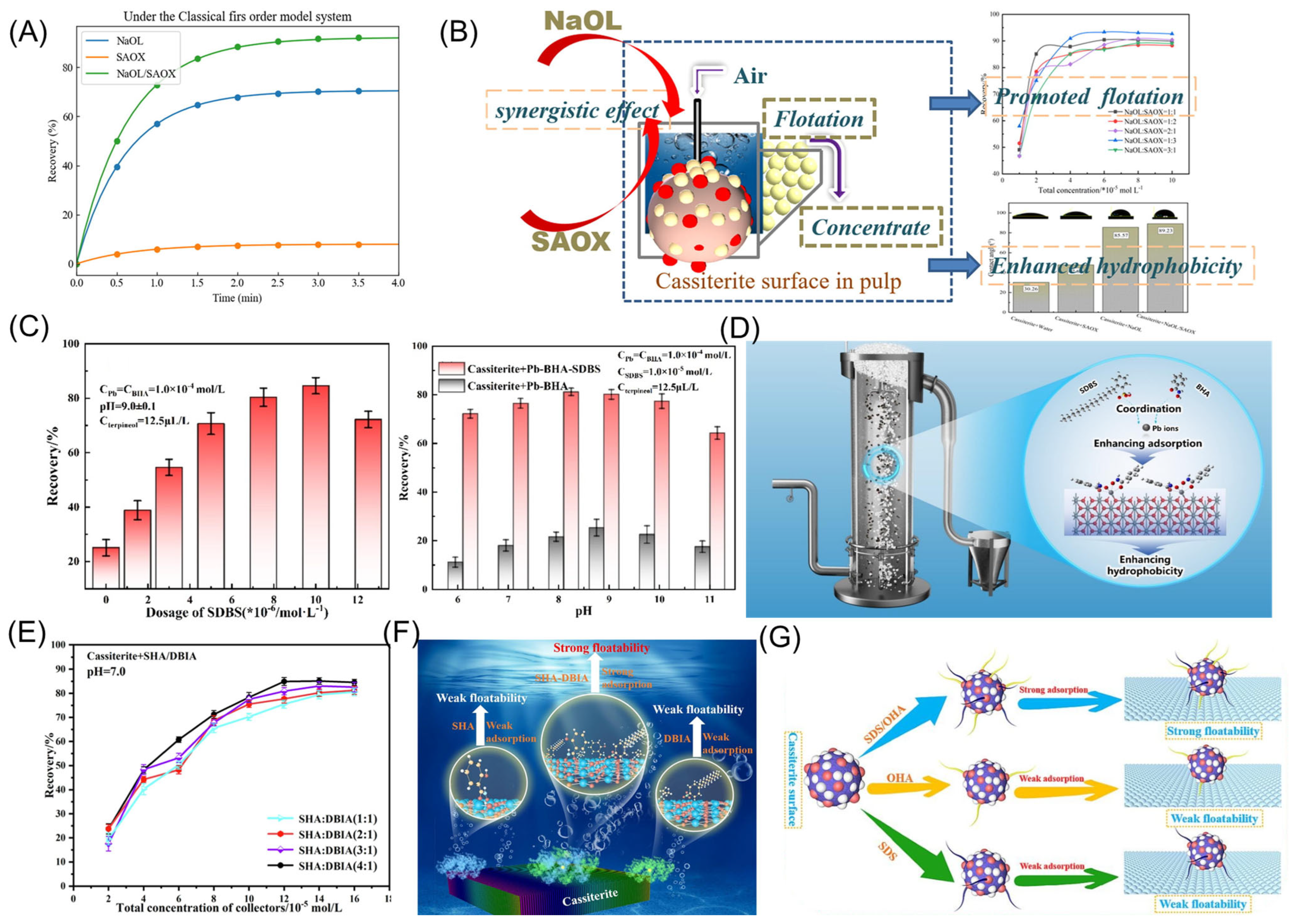 Molecules 30 02380 g011