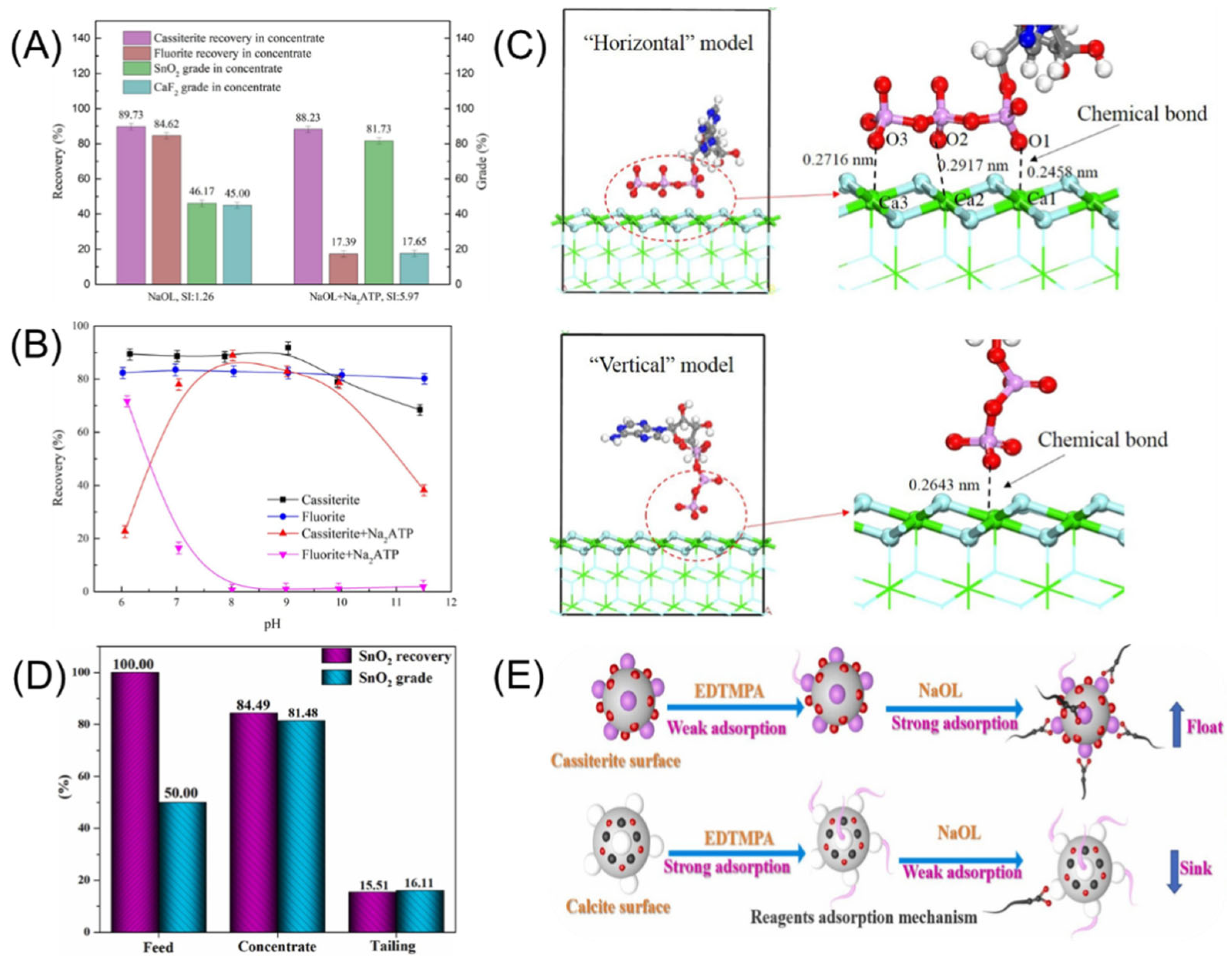 Molecules 30 02380 g012