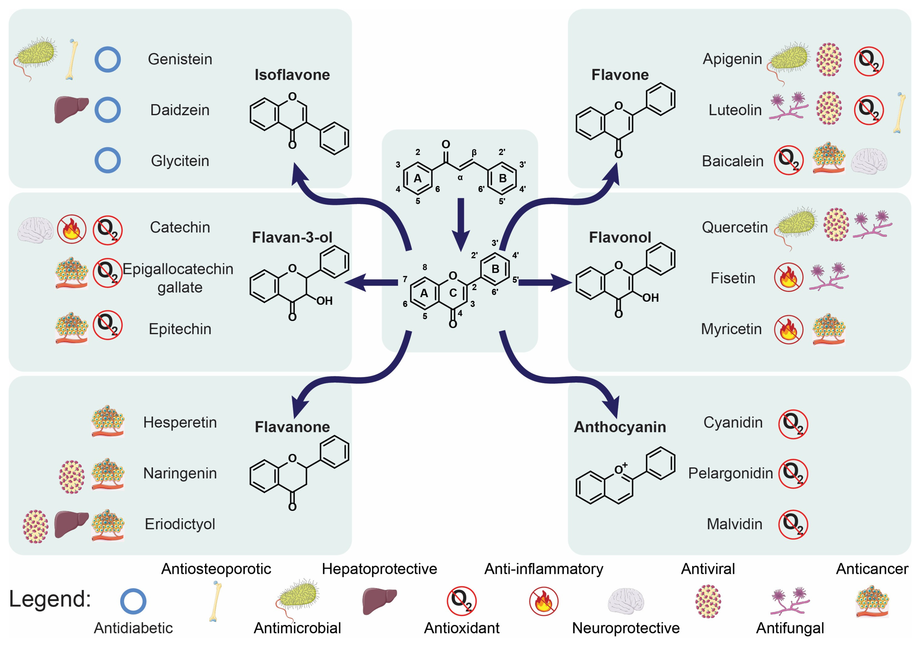 Molecules 30 02395 g001