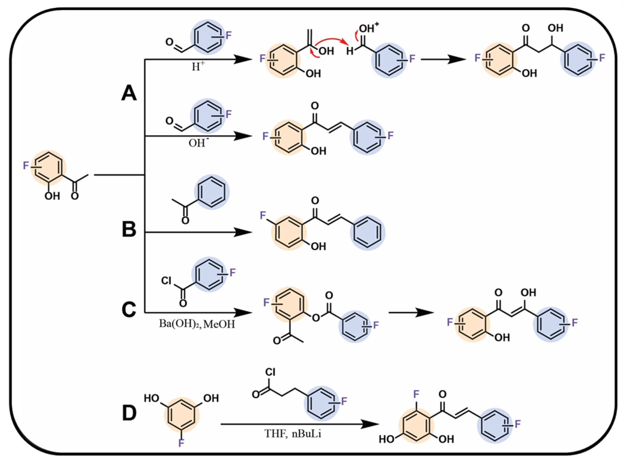 Molecules 30 02395 g004