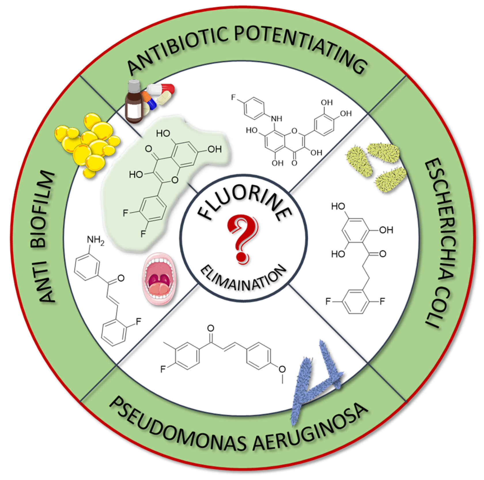 Molecules 30 02395 g008