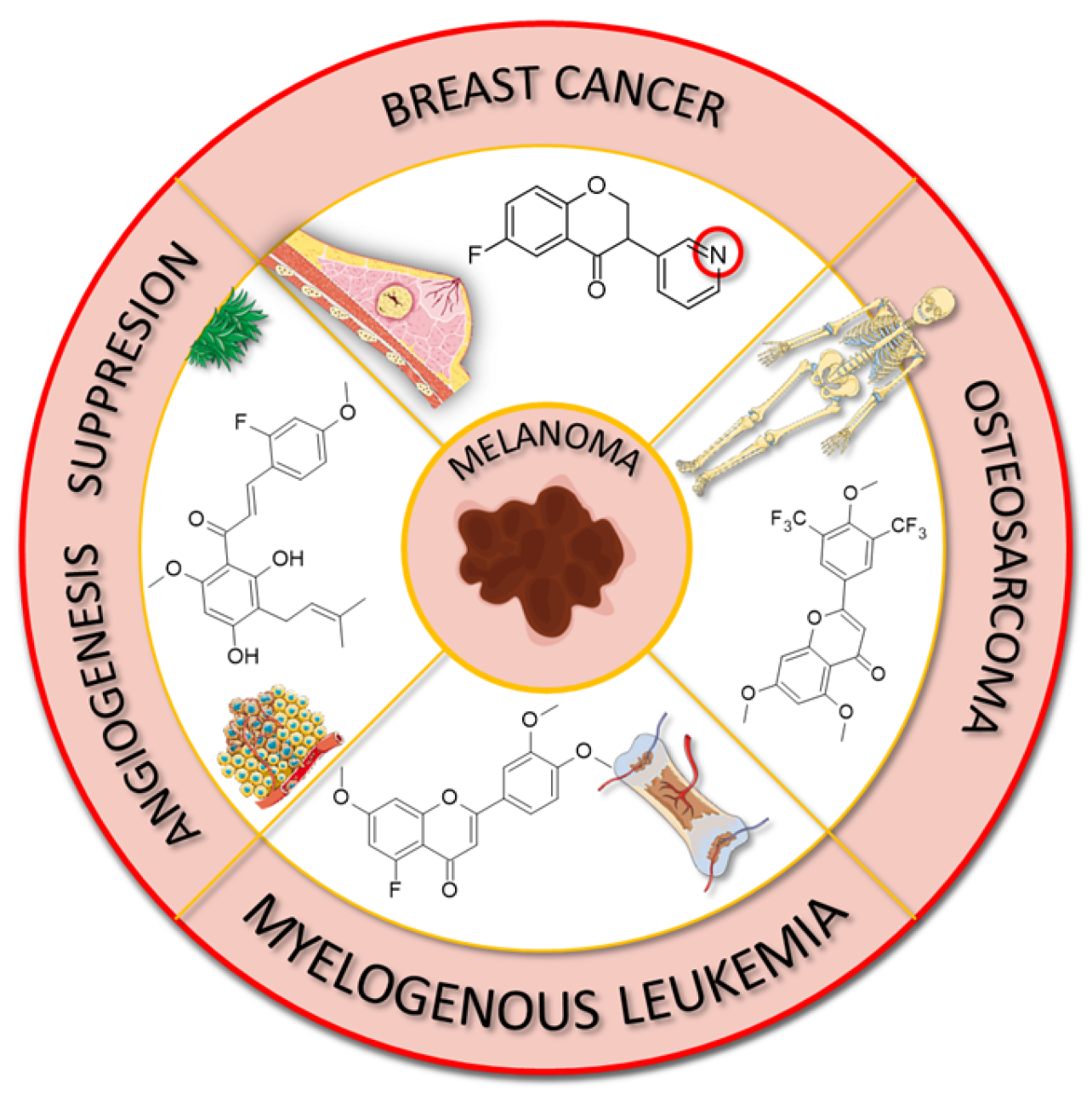 Molecules 30 02395 g015