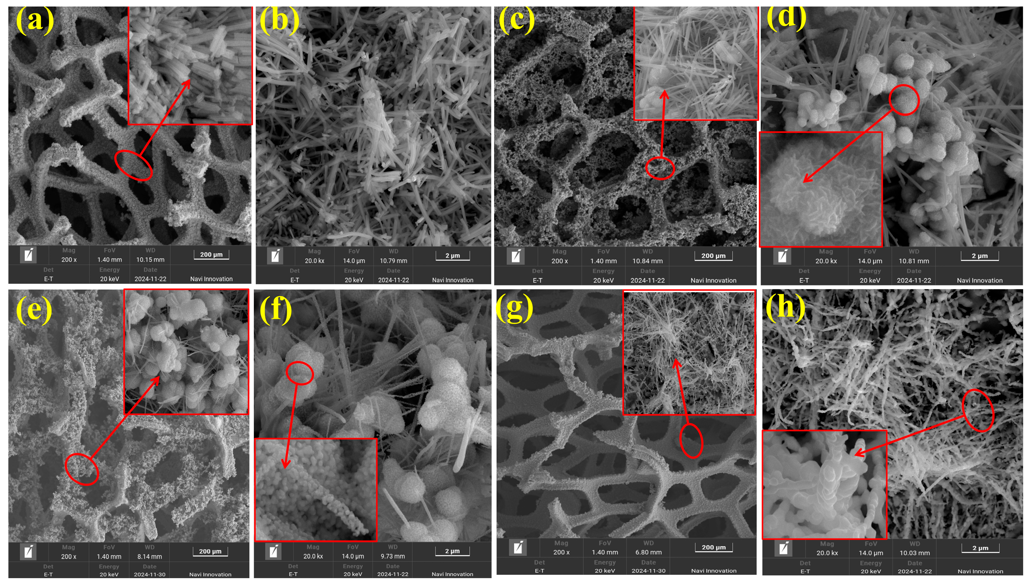 Molecules 30 02396 g002