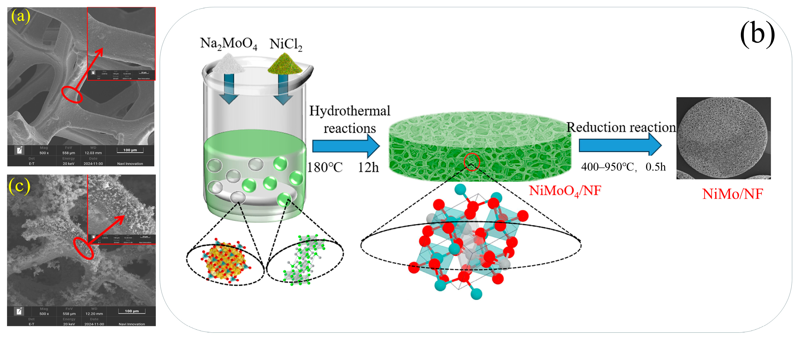 Molecules 30 02396 g007