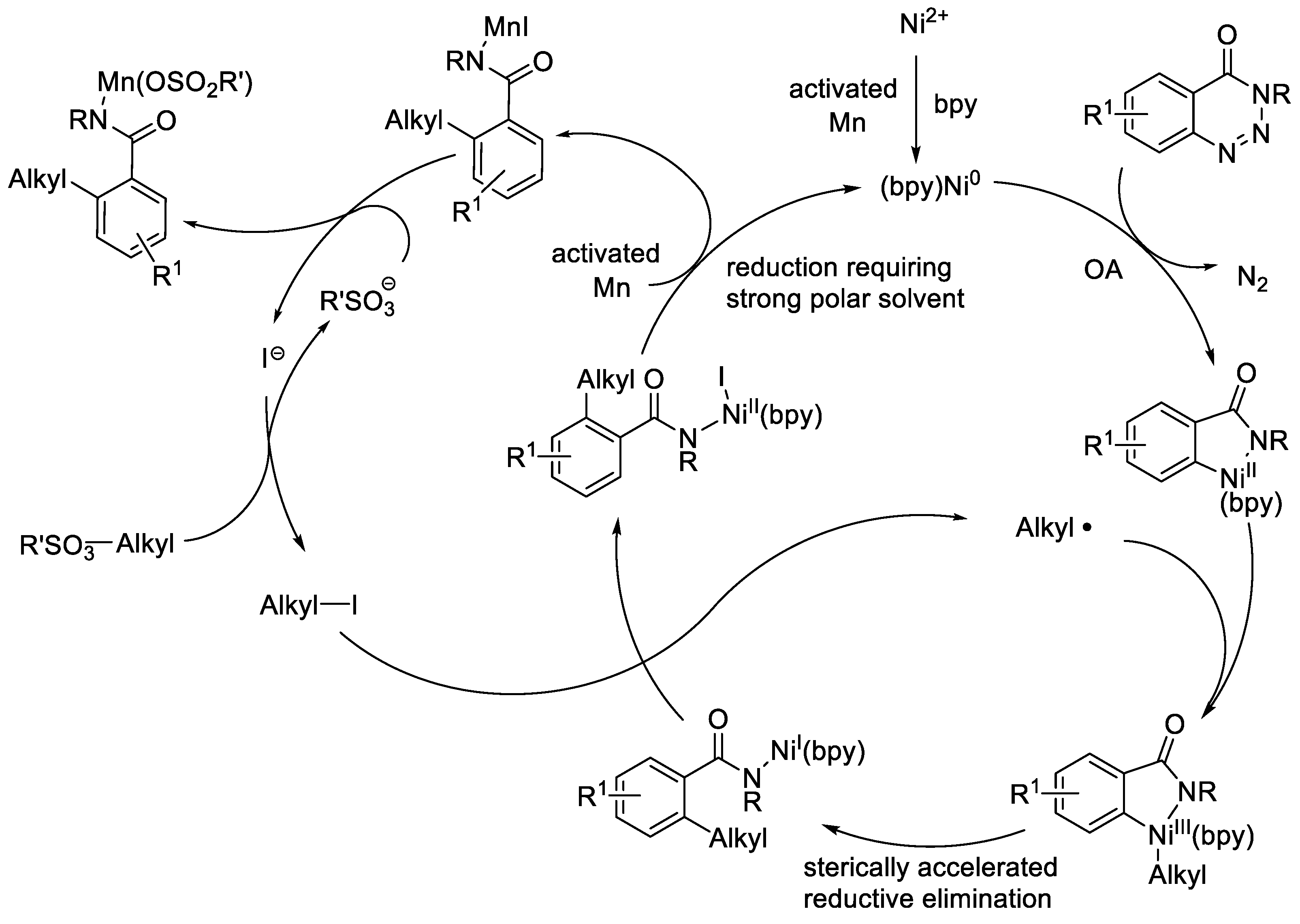 Molecules 30 02397 sch006 Molecules 30 02397 sch006