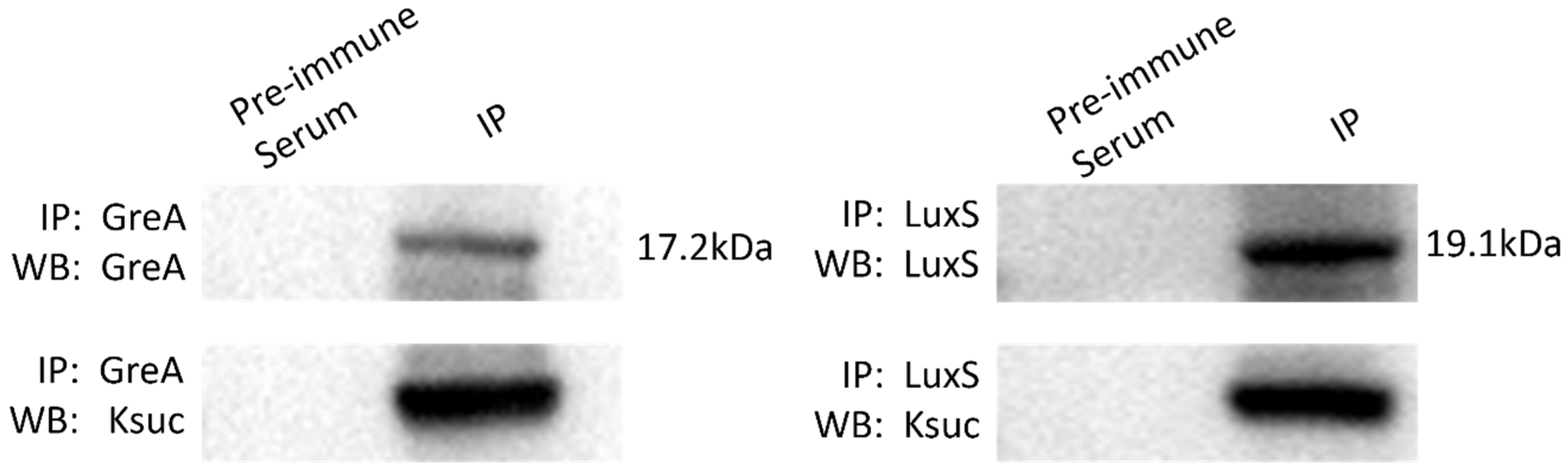 Molecules 30 02418 g007