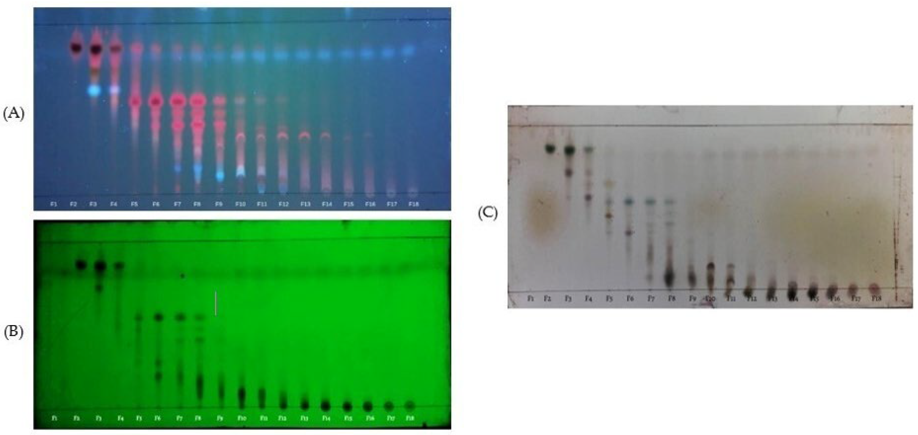 Molecules 30 02442 g002