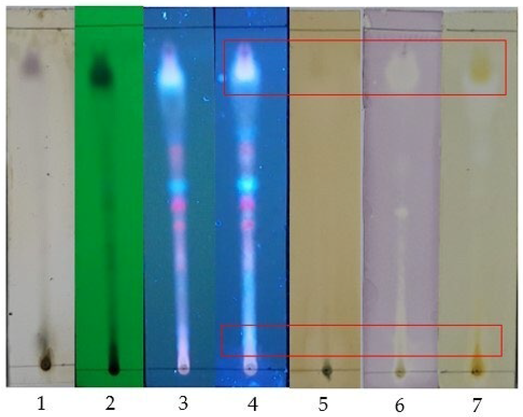 Molecules 30 02442 g003