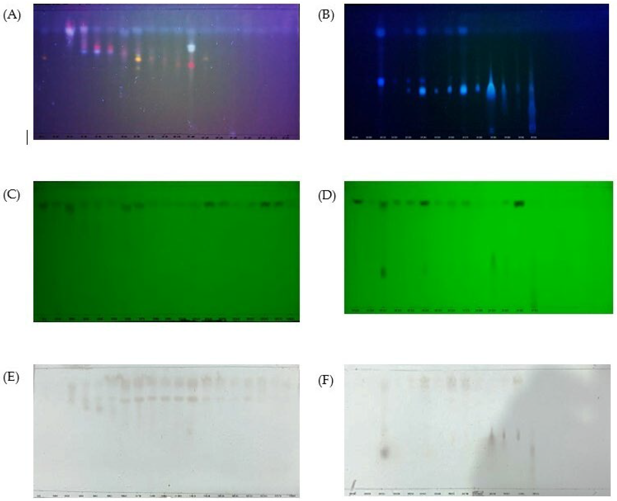 Molecules 30 02442 g004