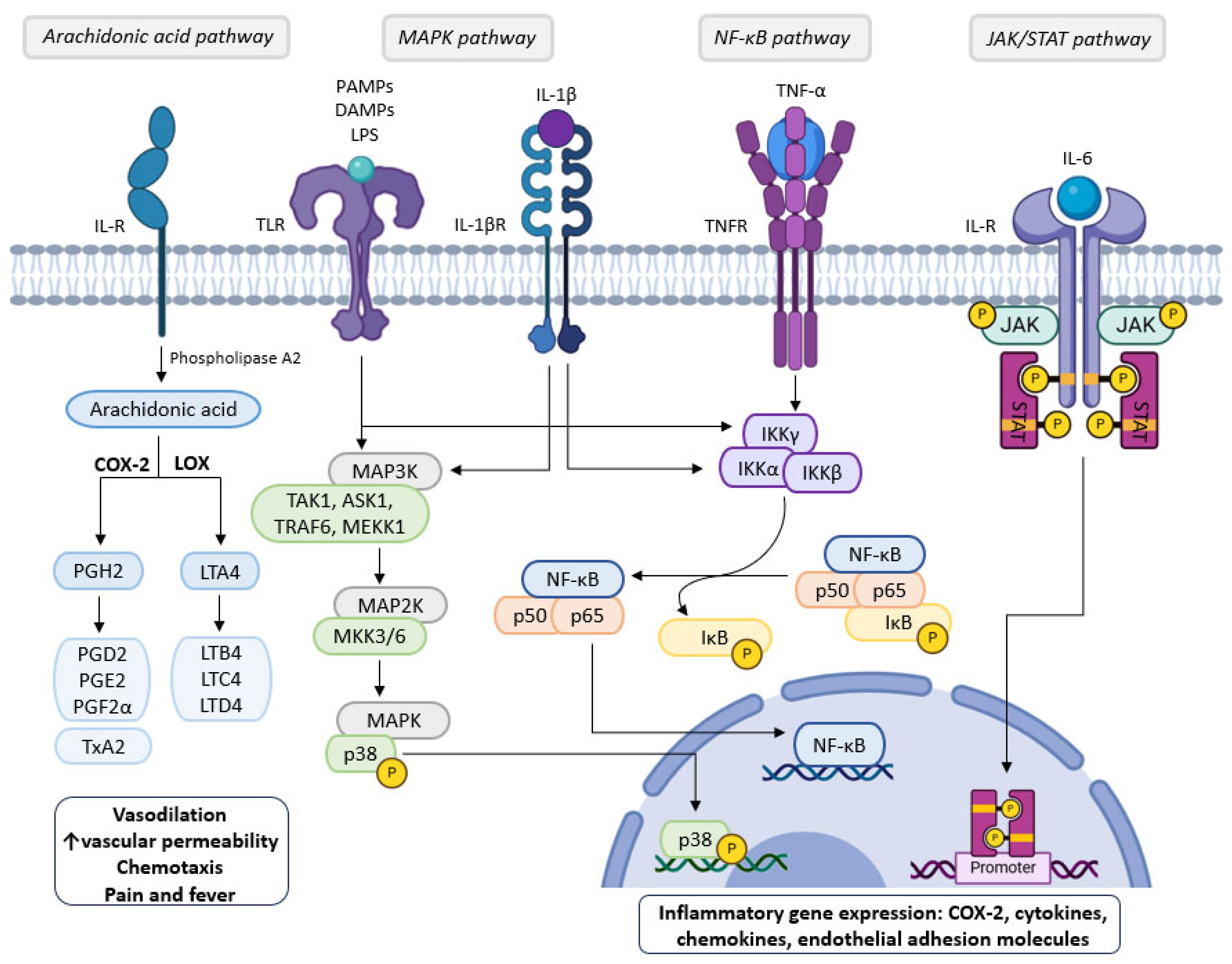 Molecules 30 02450 g002
