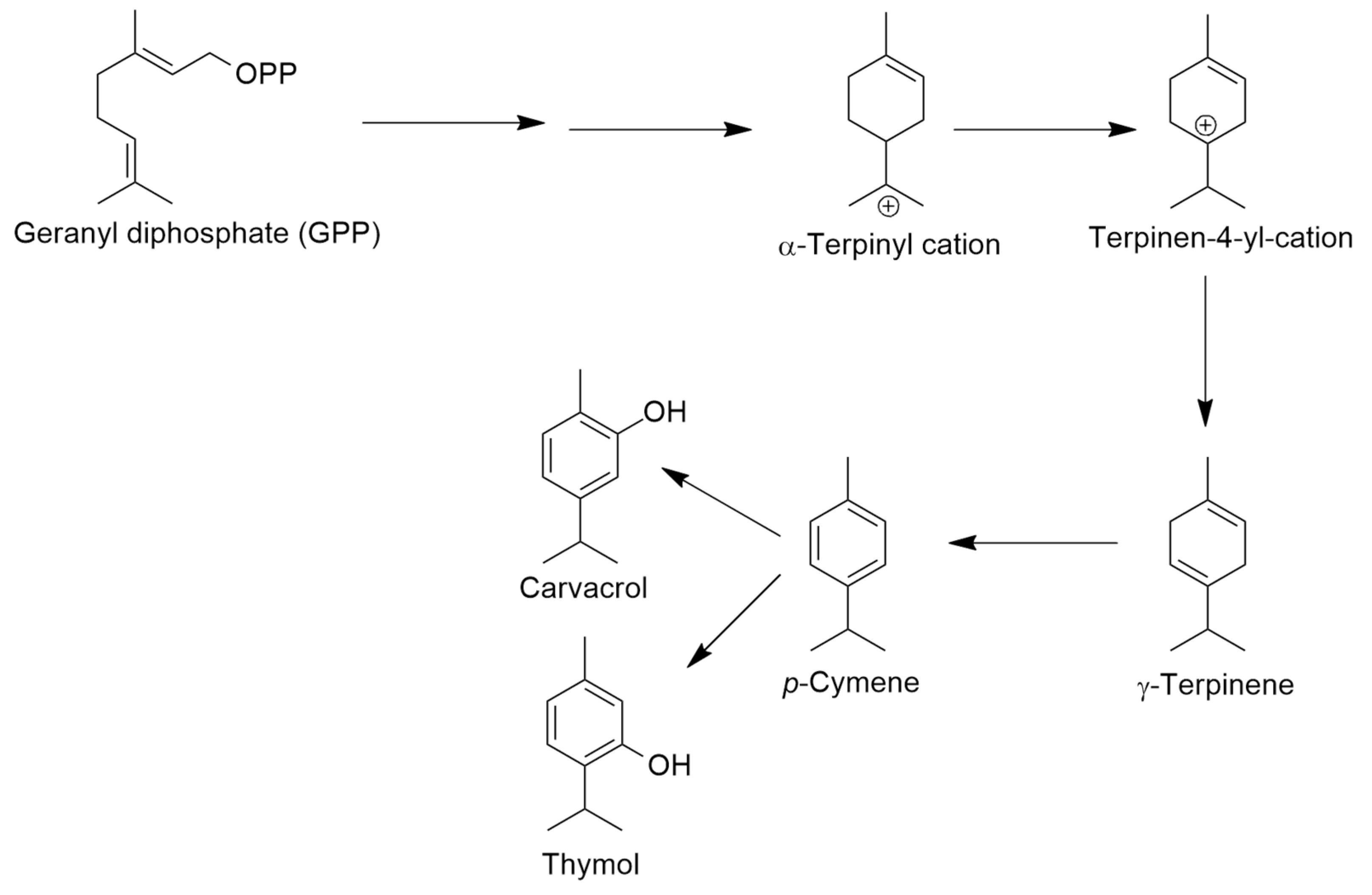 Molecules 30 02450 g004