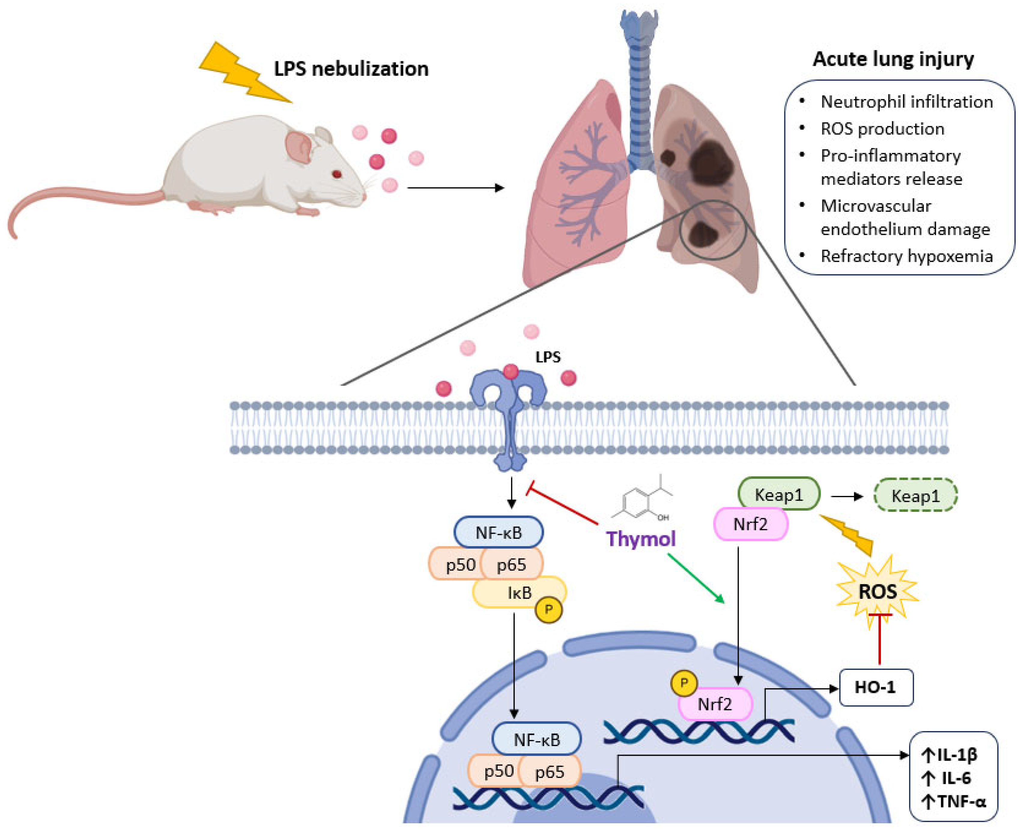 Molecules 30 02450 g005