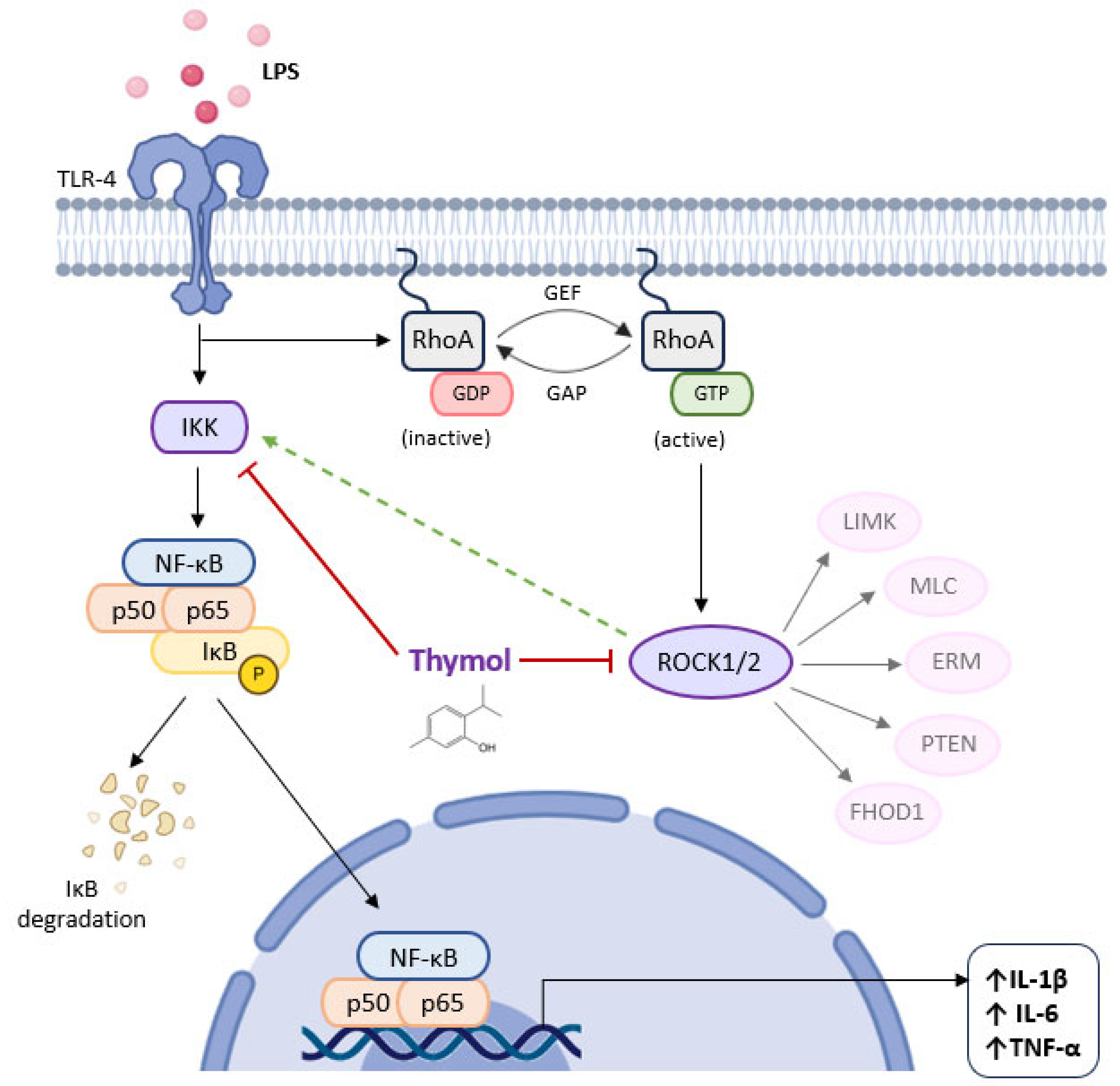 Molecules 30 02450 g006