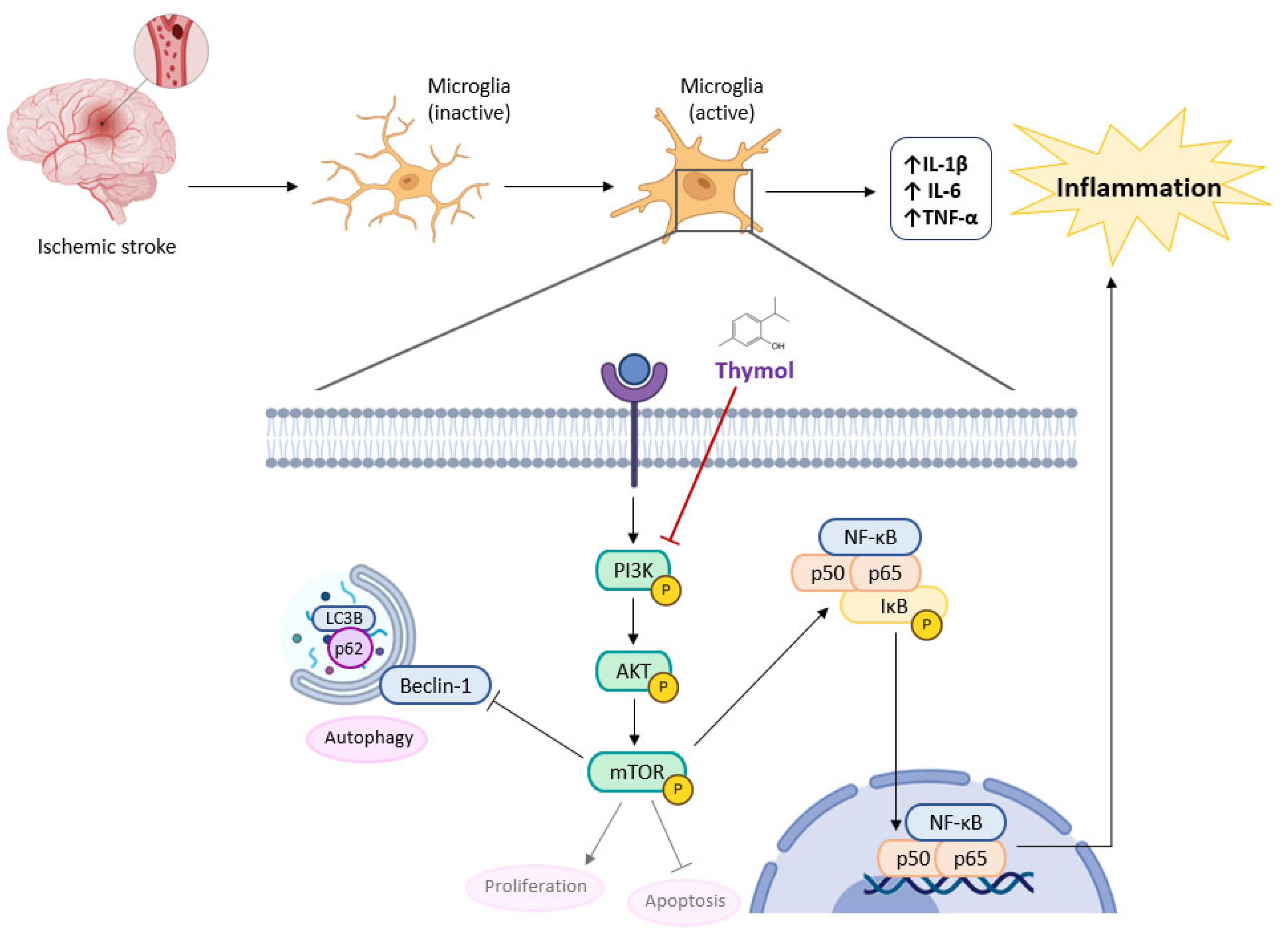 Molecules 30 02450 g007