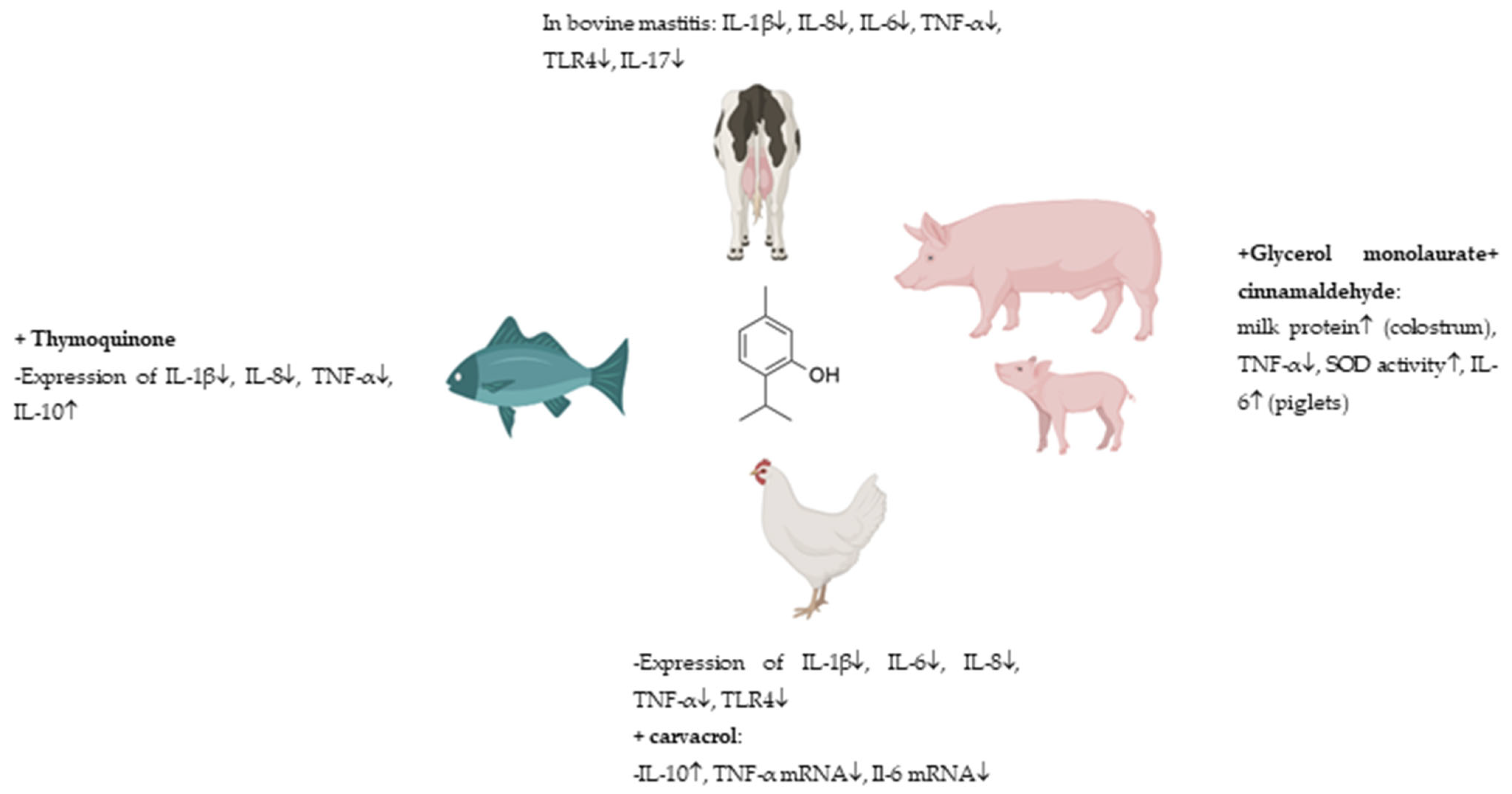 Molecules 30 02450 g008