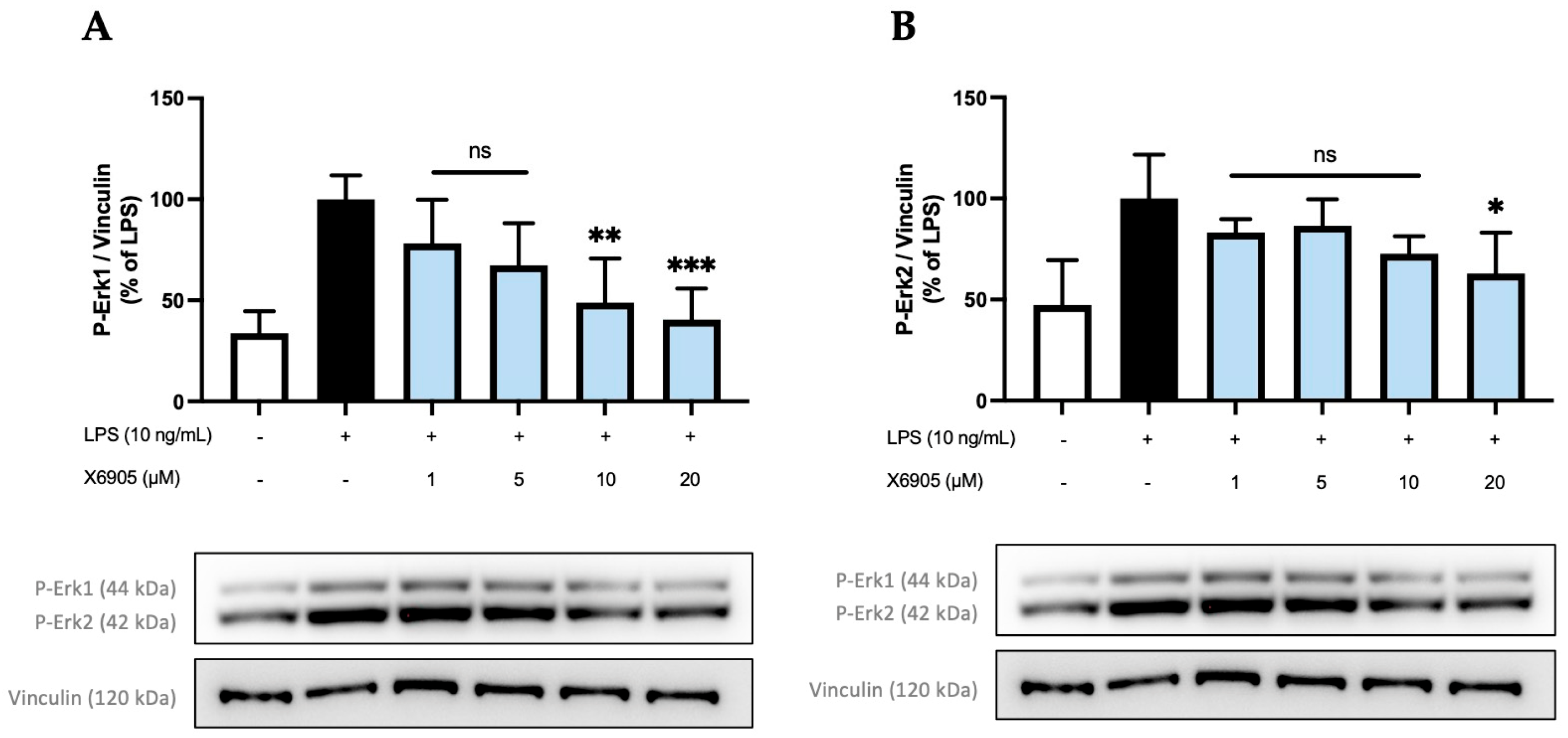 Molecules 30 02452 g009