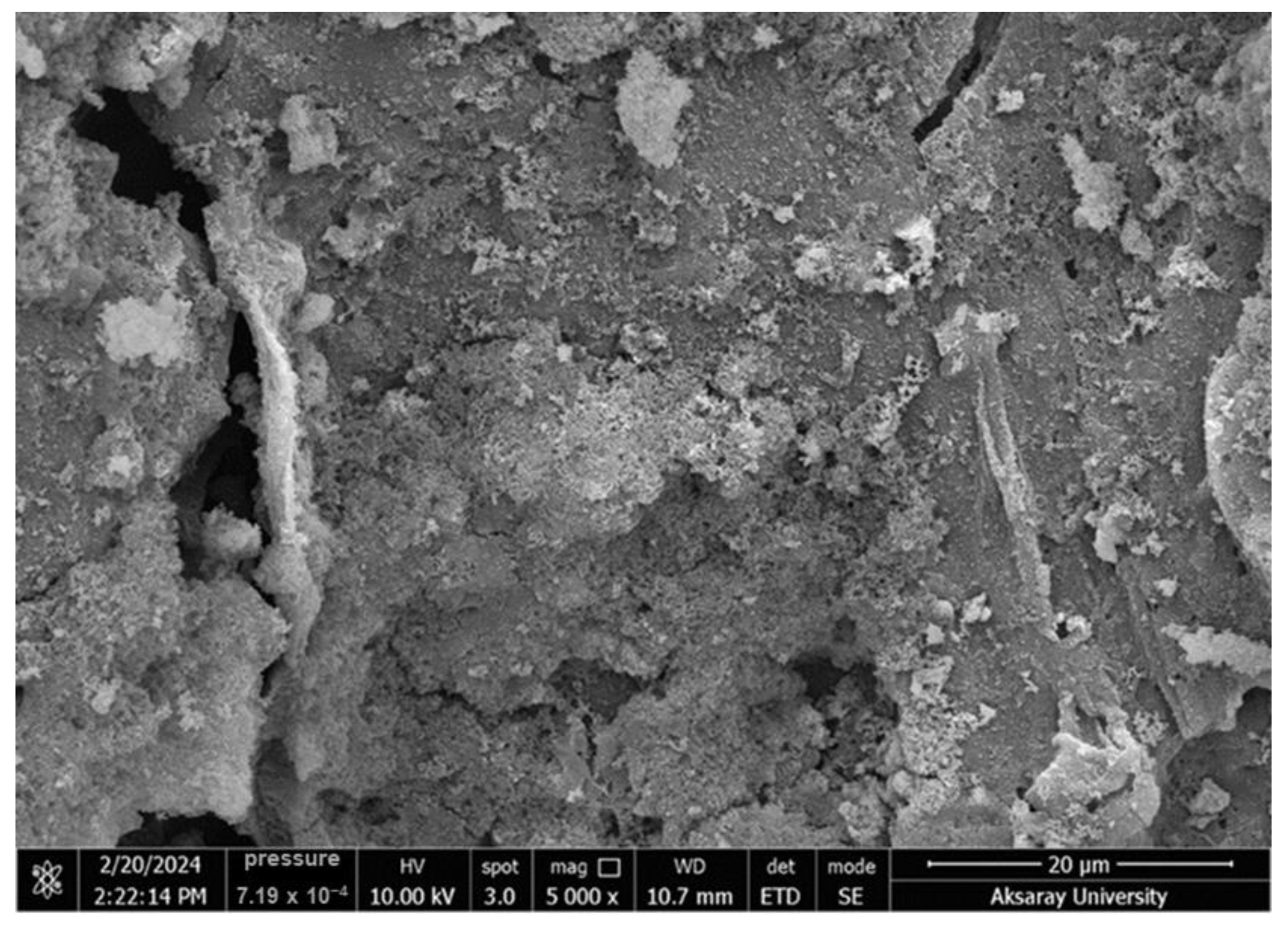 Molecules 30 02501 g002a Molecules 30 02501 g002a