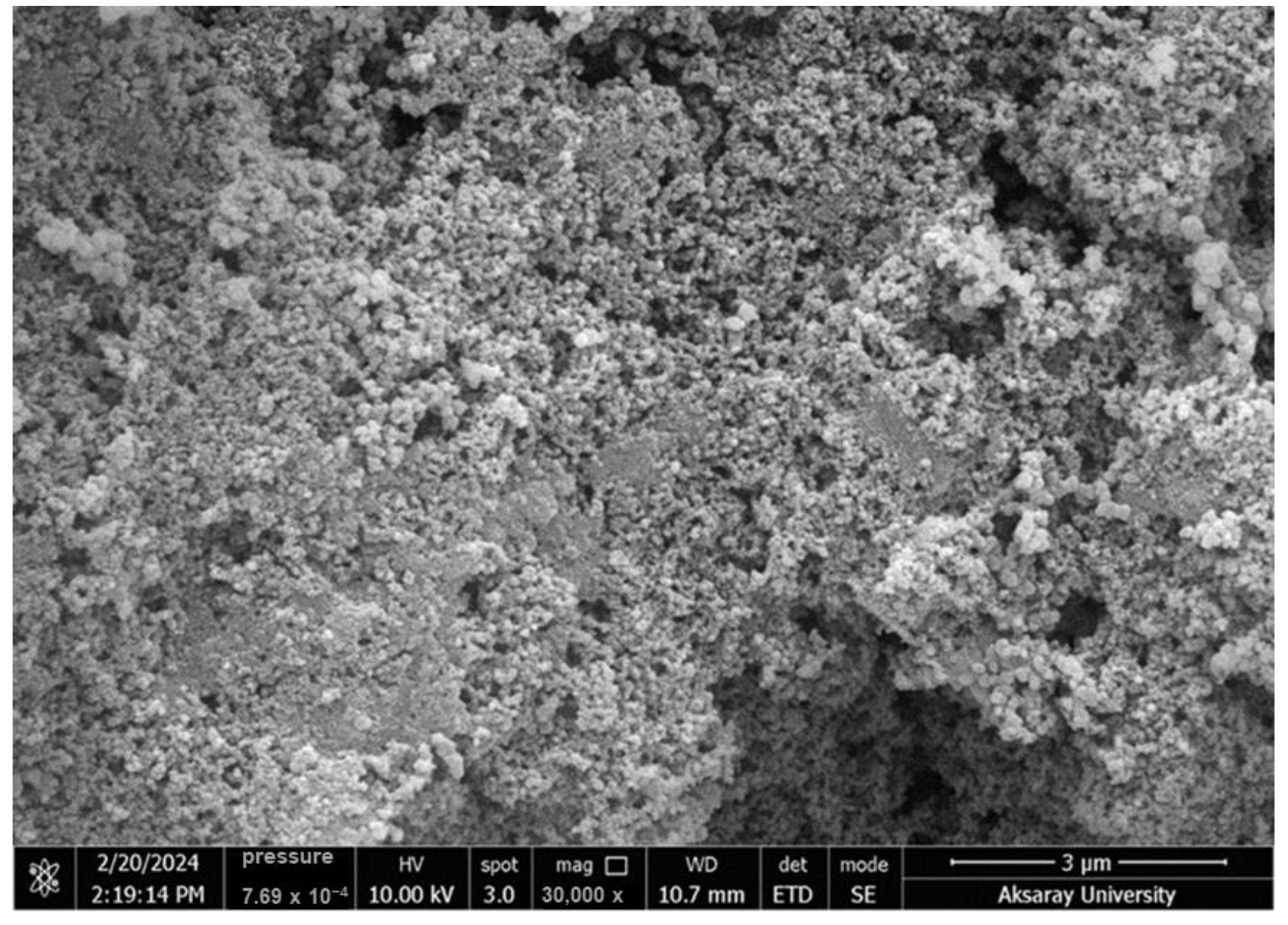 Molecules 30 02501 g002b Molecules 30 02501 g002b