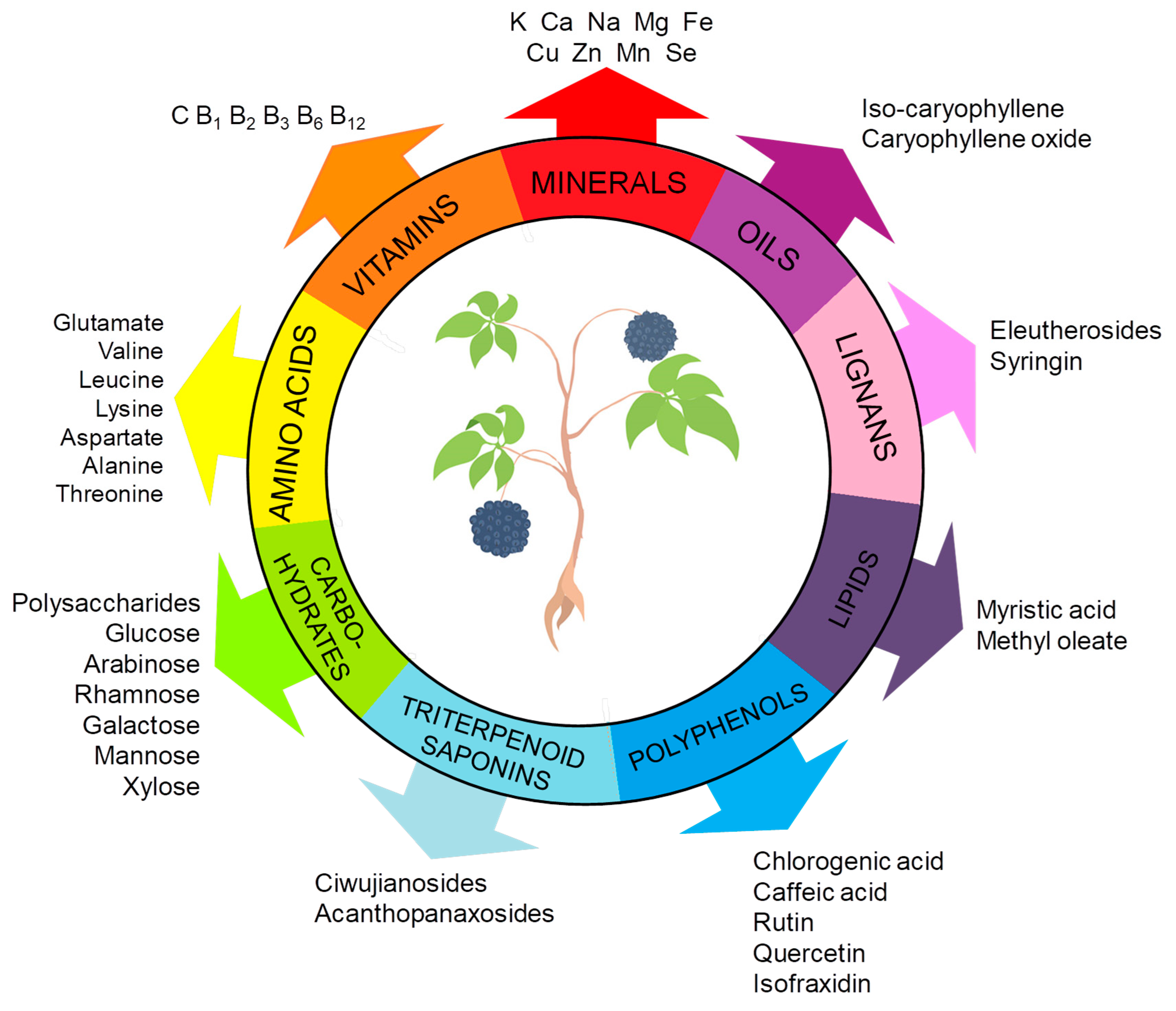 Molecules 30 02512 g001