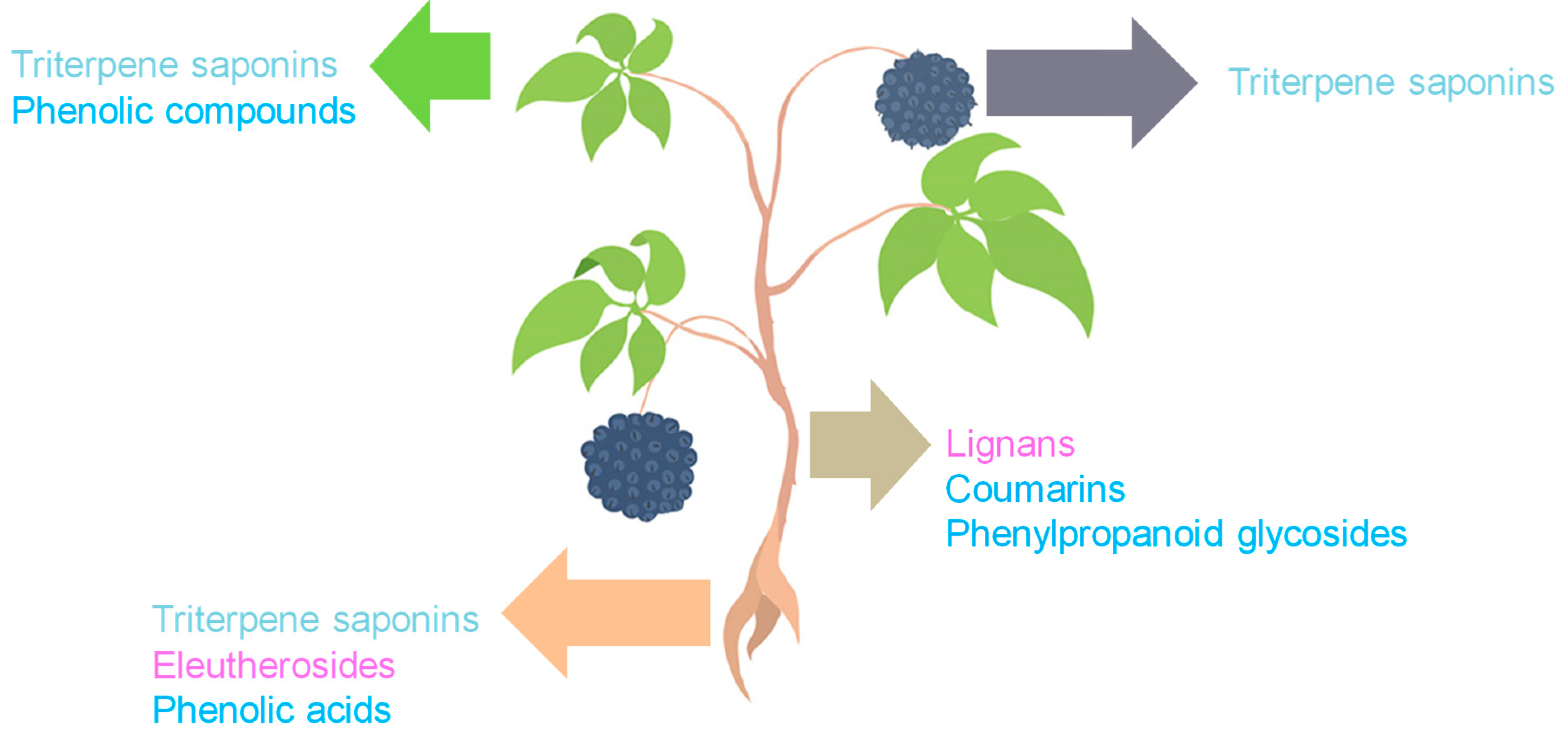 Molecules 30 02512 g002