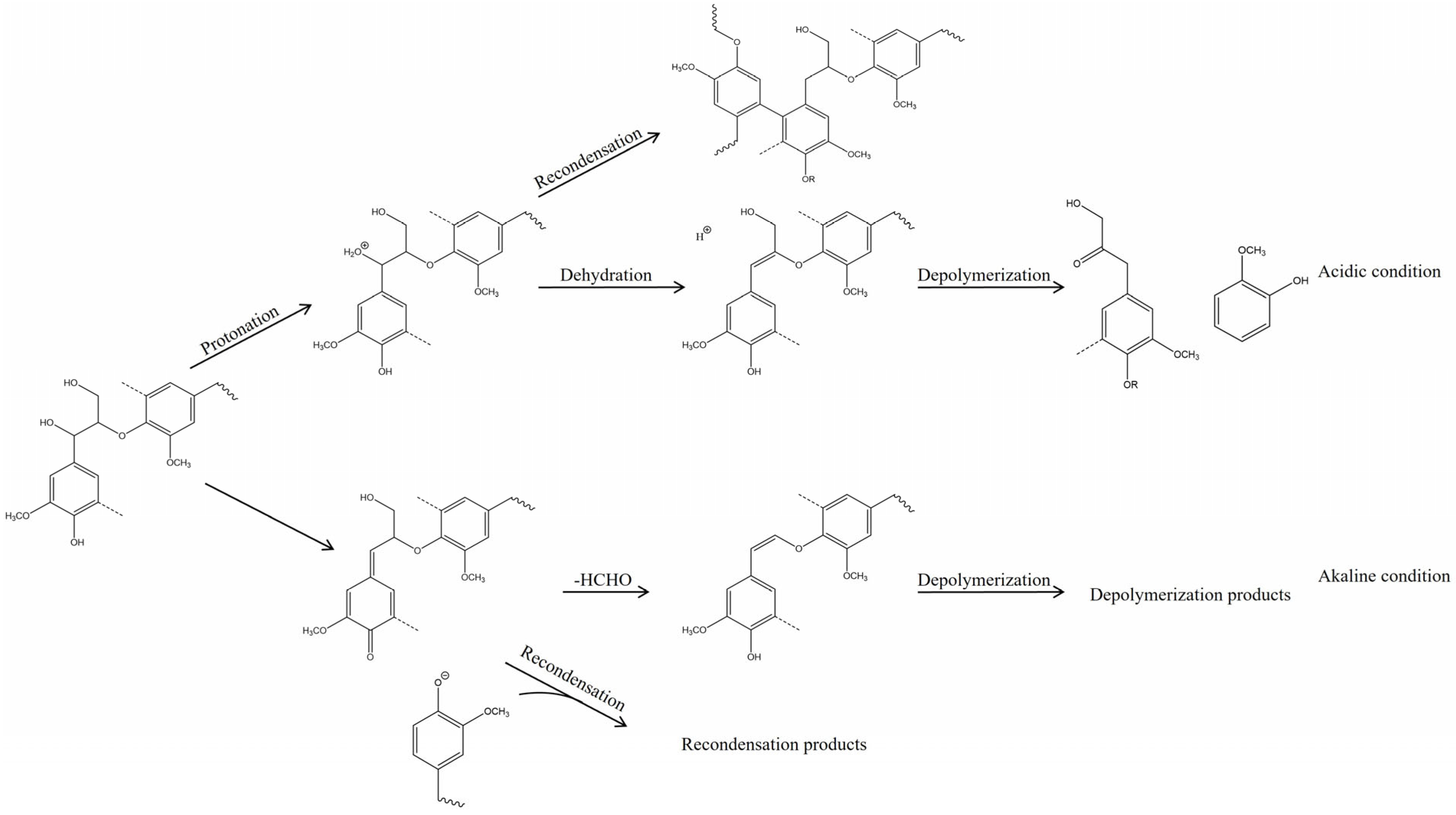 Molecules 30 02514 g005