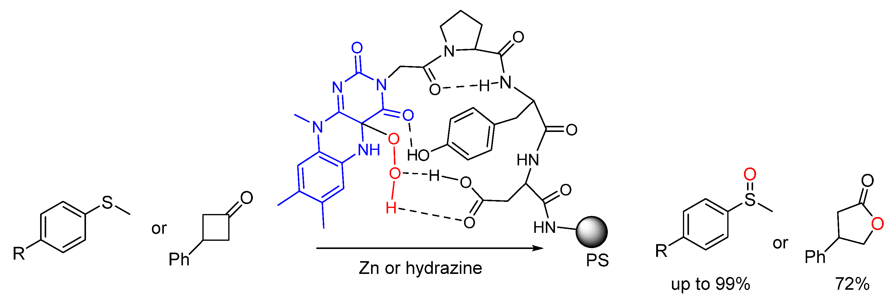 Molecules 30 02517 g006