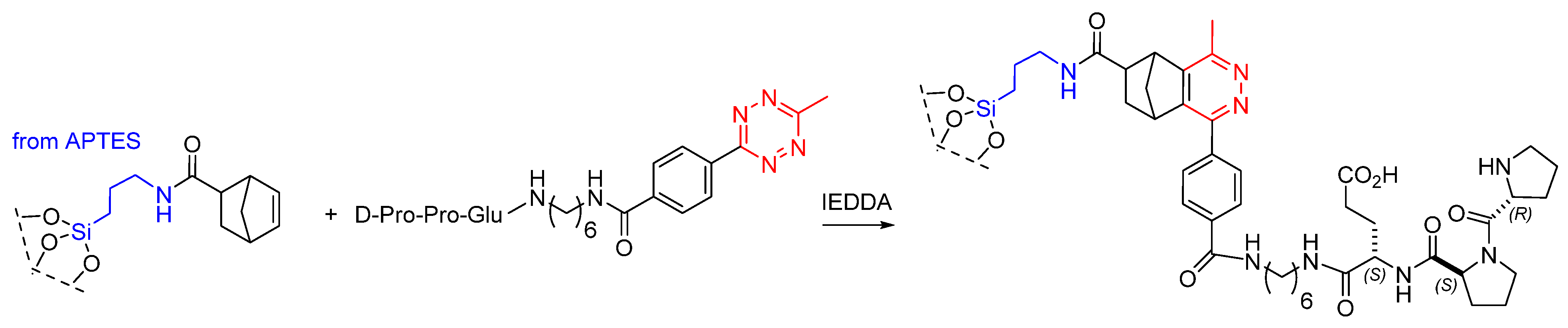 Molecules 30 02517 g021