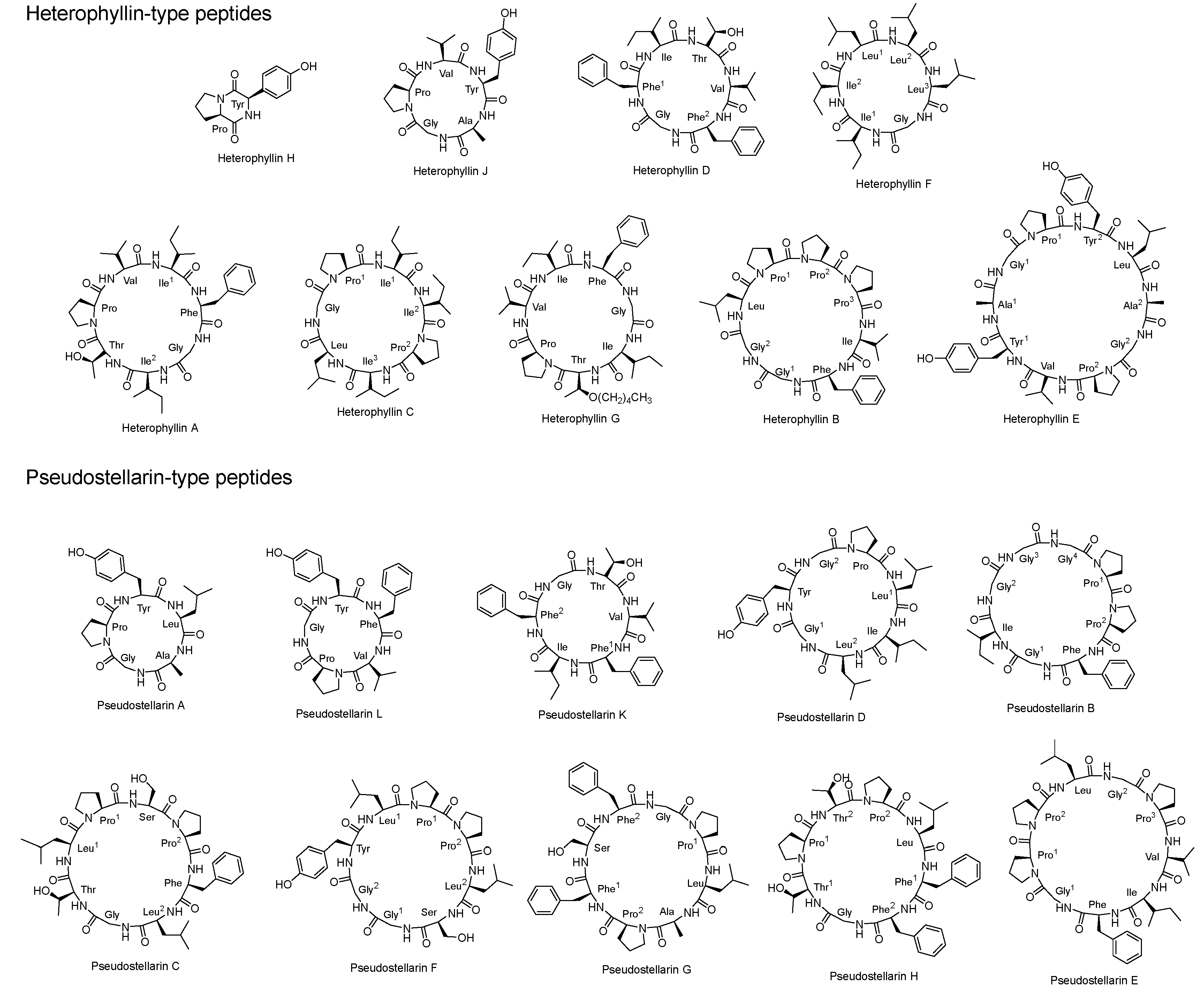 Molecules 30 02521 g001