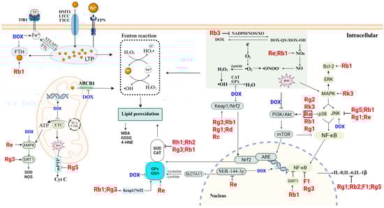 Molecules 30 02527 g003