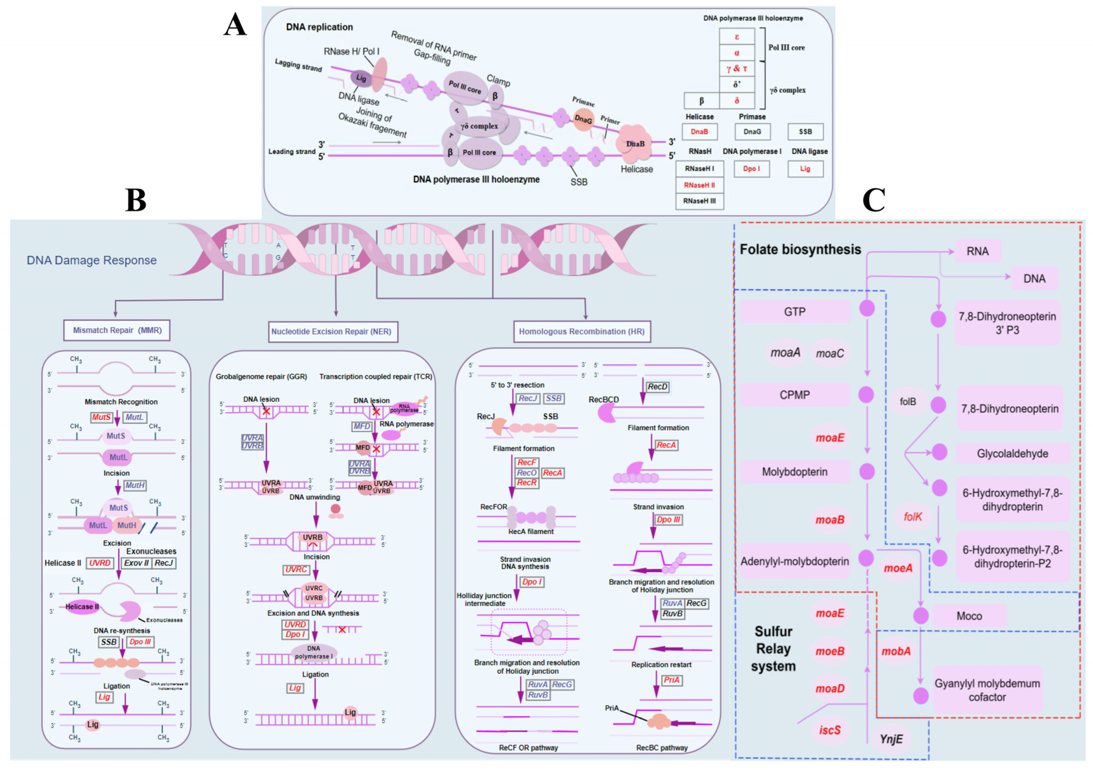Molecules 30 02539 g006
