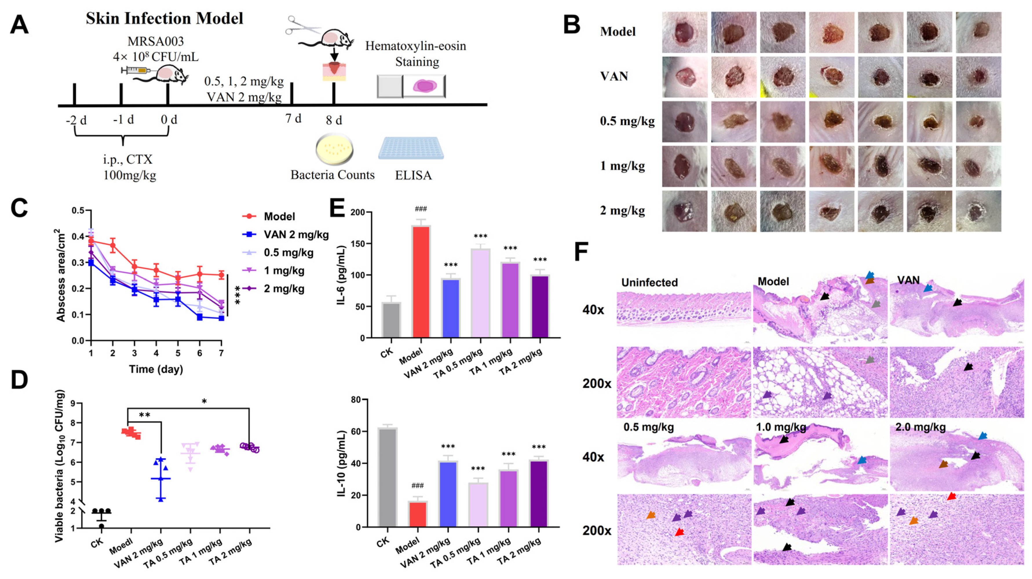 Molecules 30 02539 g008