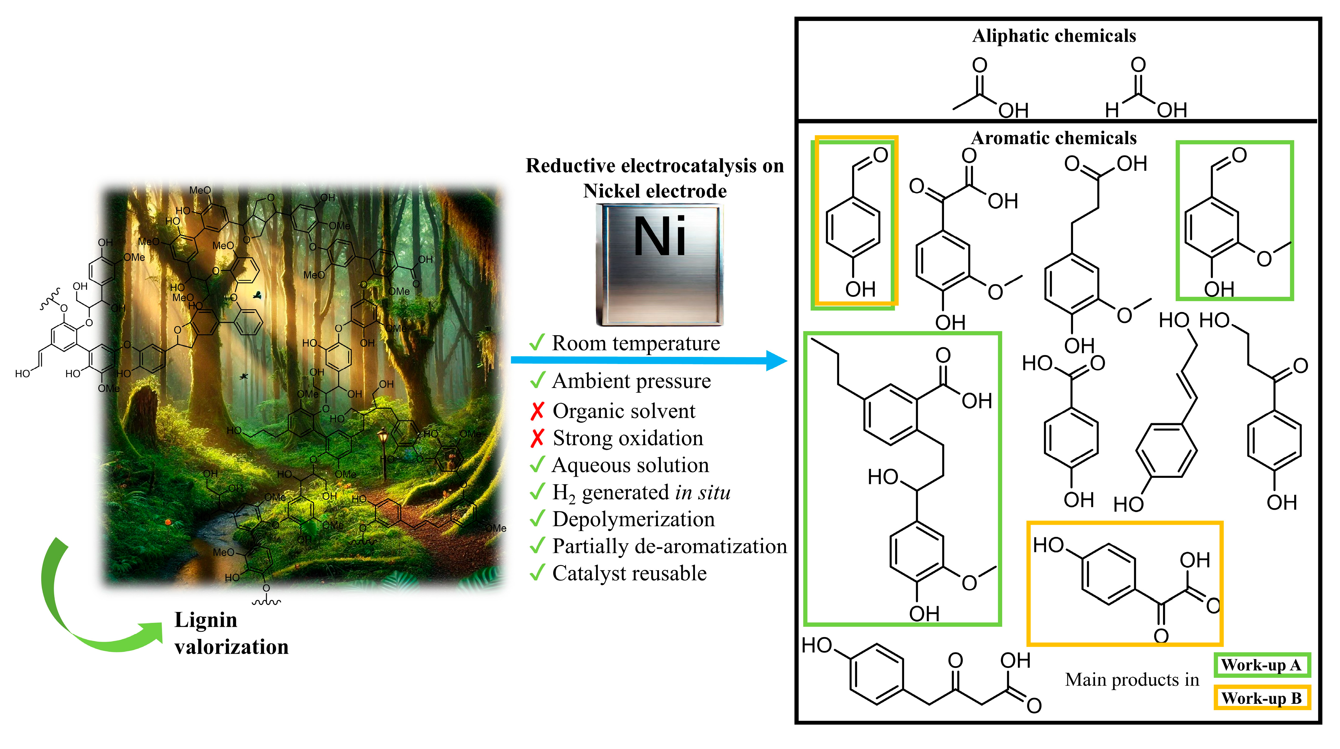 Molecules 30 02544 g001