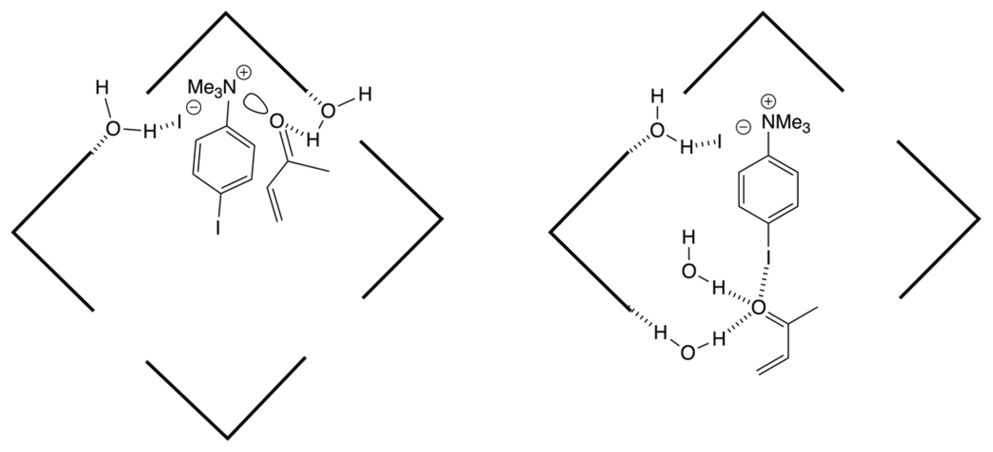 Molecules 30 02549 g007