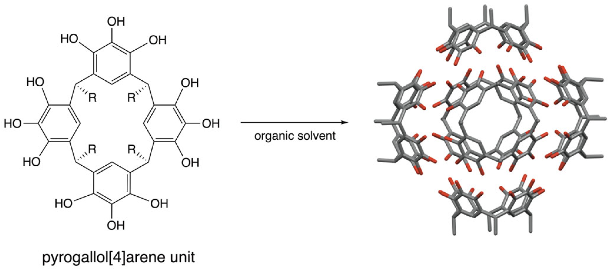 Molecules 30 02549 g008