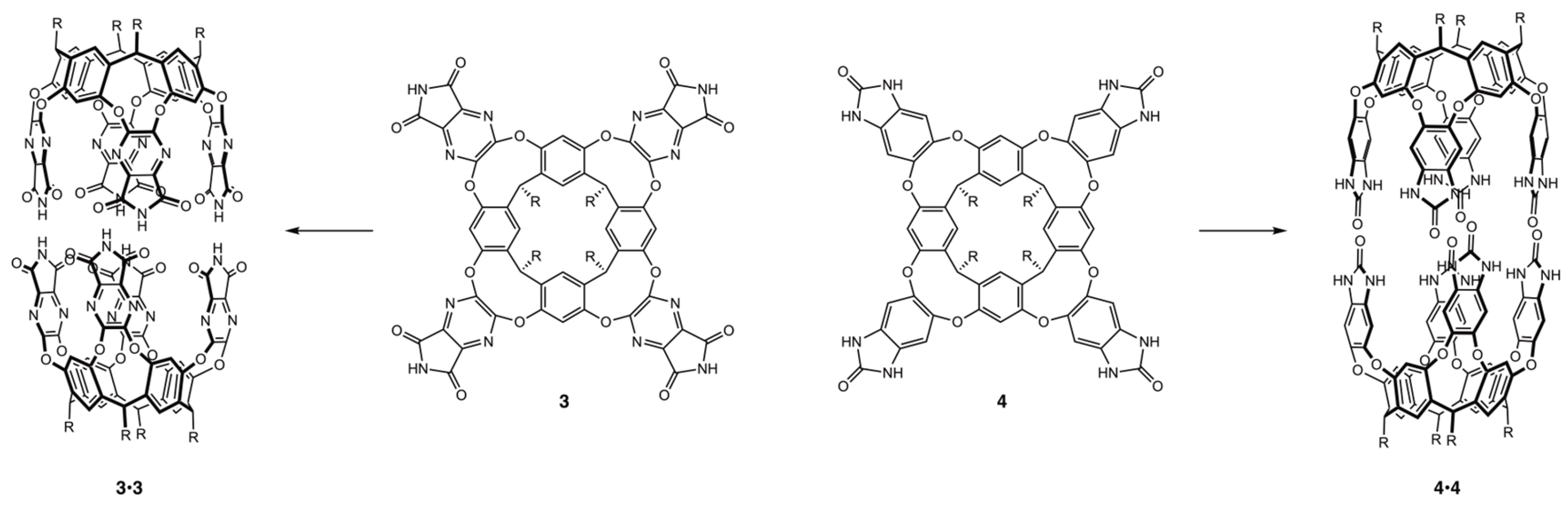 Molecules 30 02549 g011