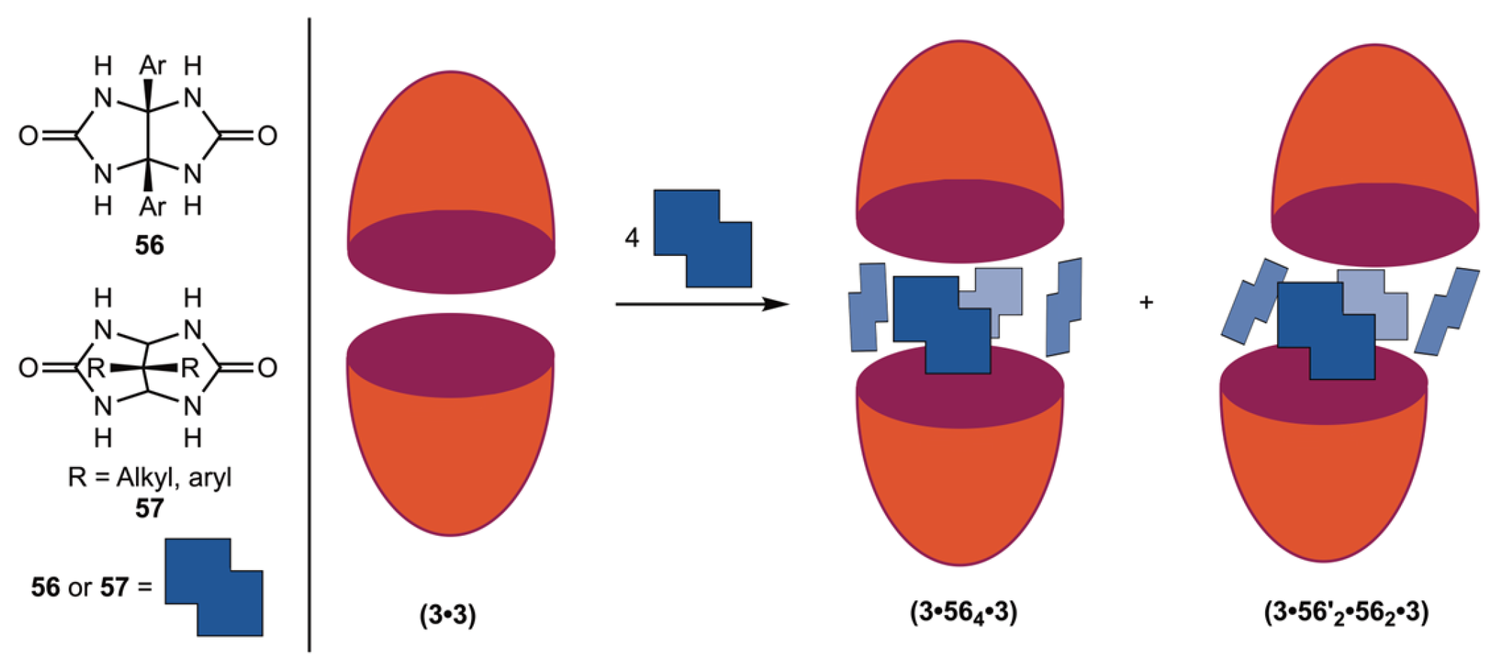 Molecules 30 02549 g012