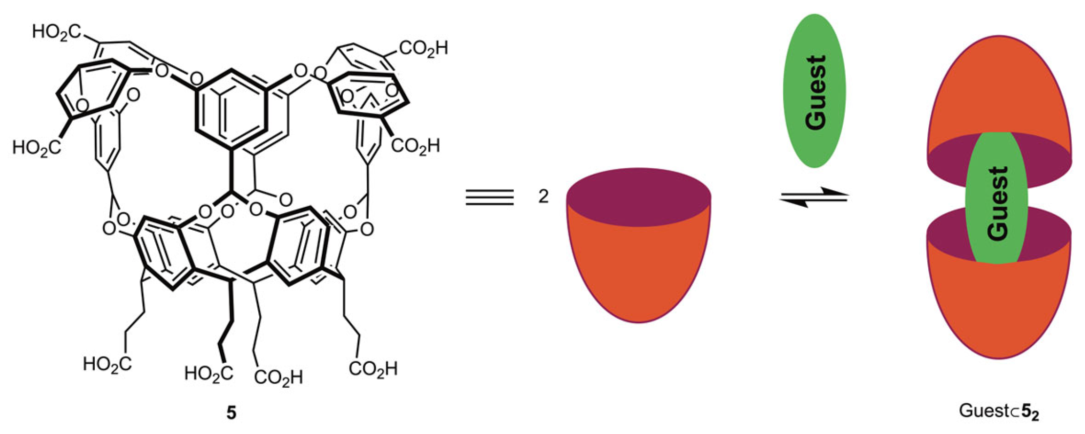 Molecules 30 02549 g017
