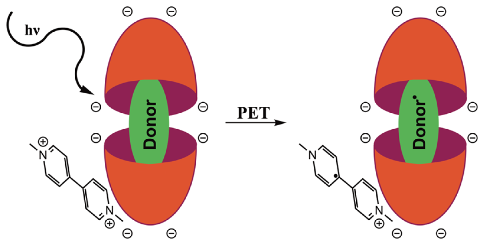 Molecules 30 02549 g021